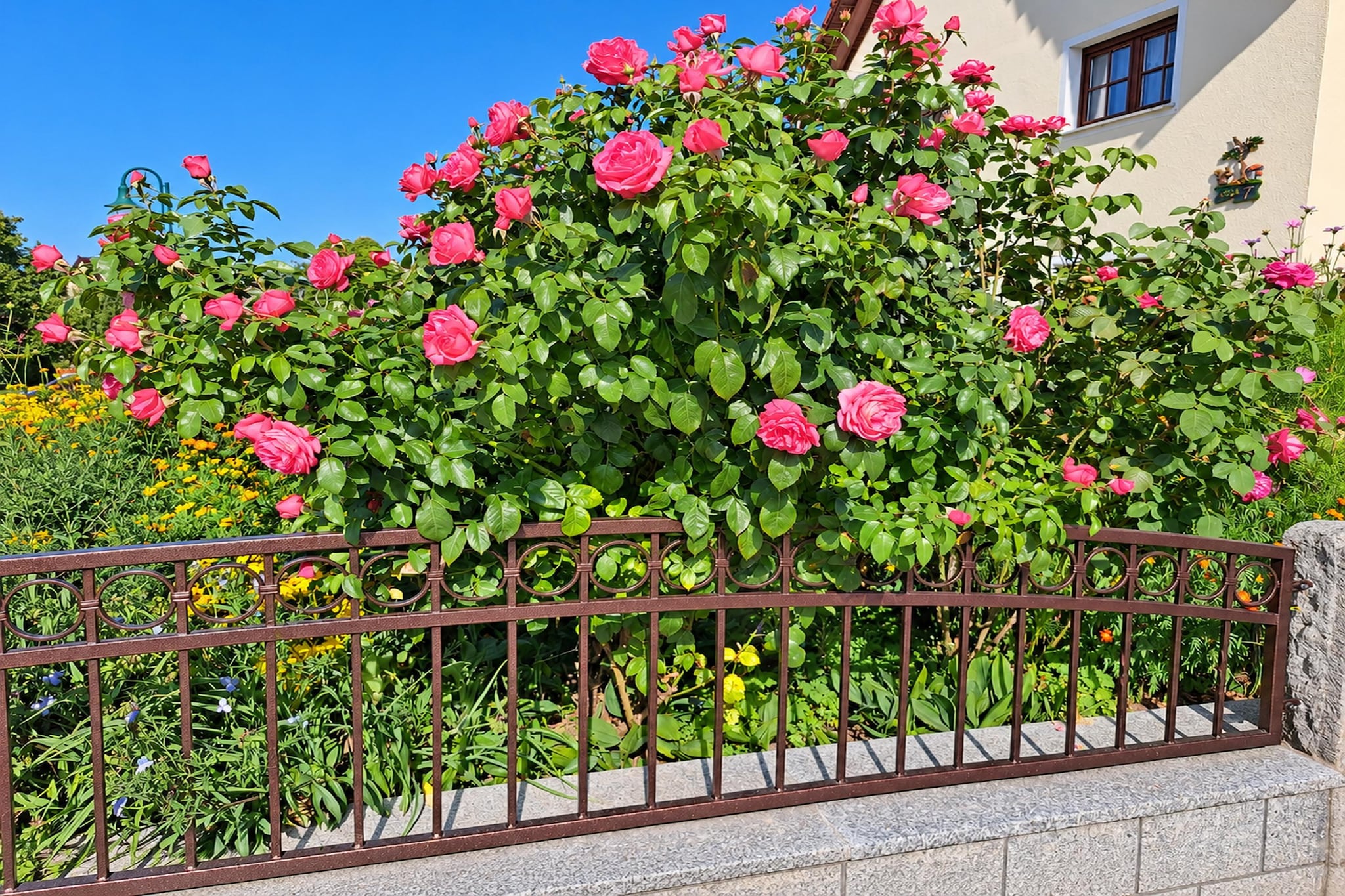 Großes Apartment im Herzen Sachsens -    Pension Sachon - Tuinen zomer