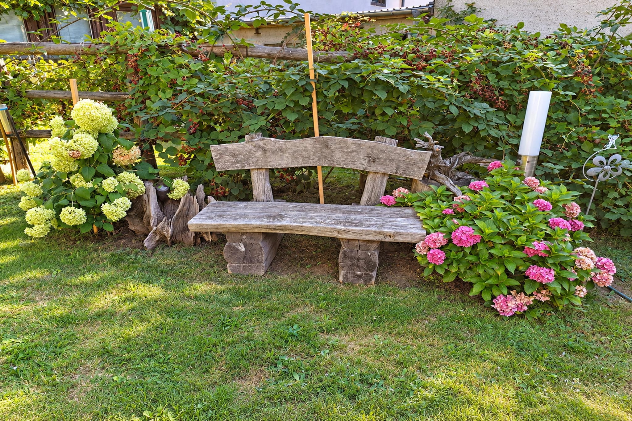Gemütliche Auszeit im Herzen Sachsens -    Pension Sachon - Tuinen zomer