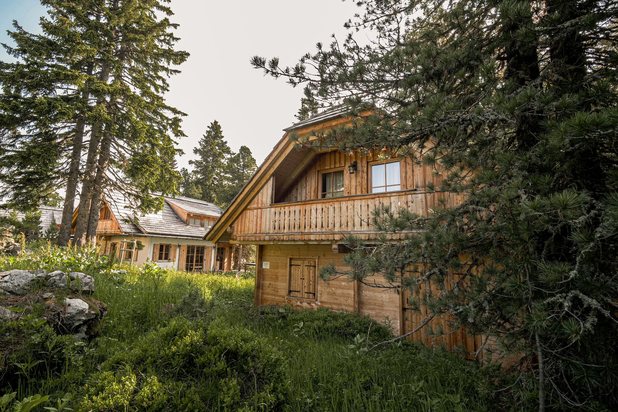 Murmeltierhütte - Buitenkant zomer