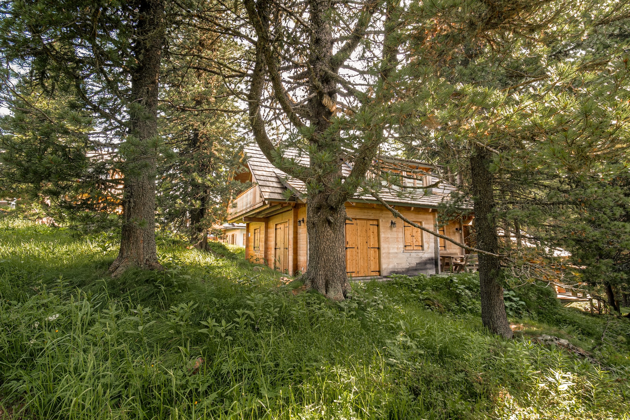 Murmeltierhütte - Tuinen zomer