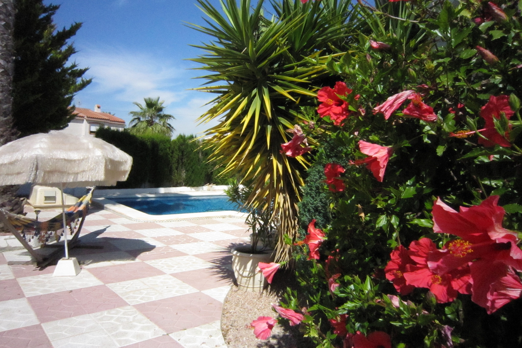 Casa Fien-Gardens summer