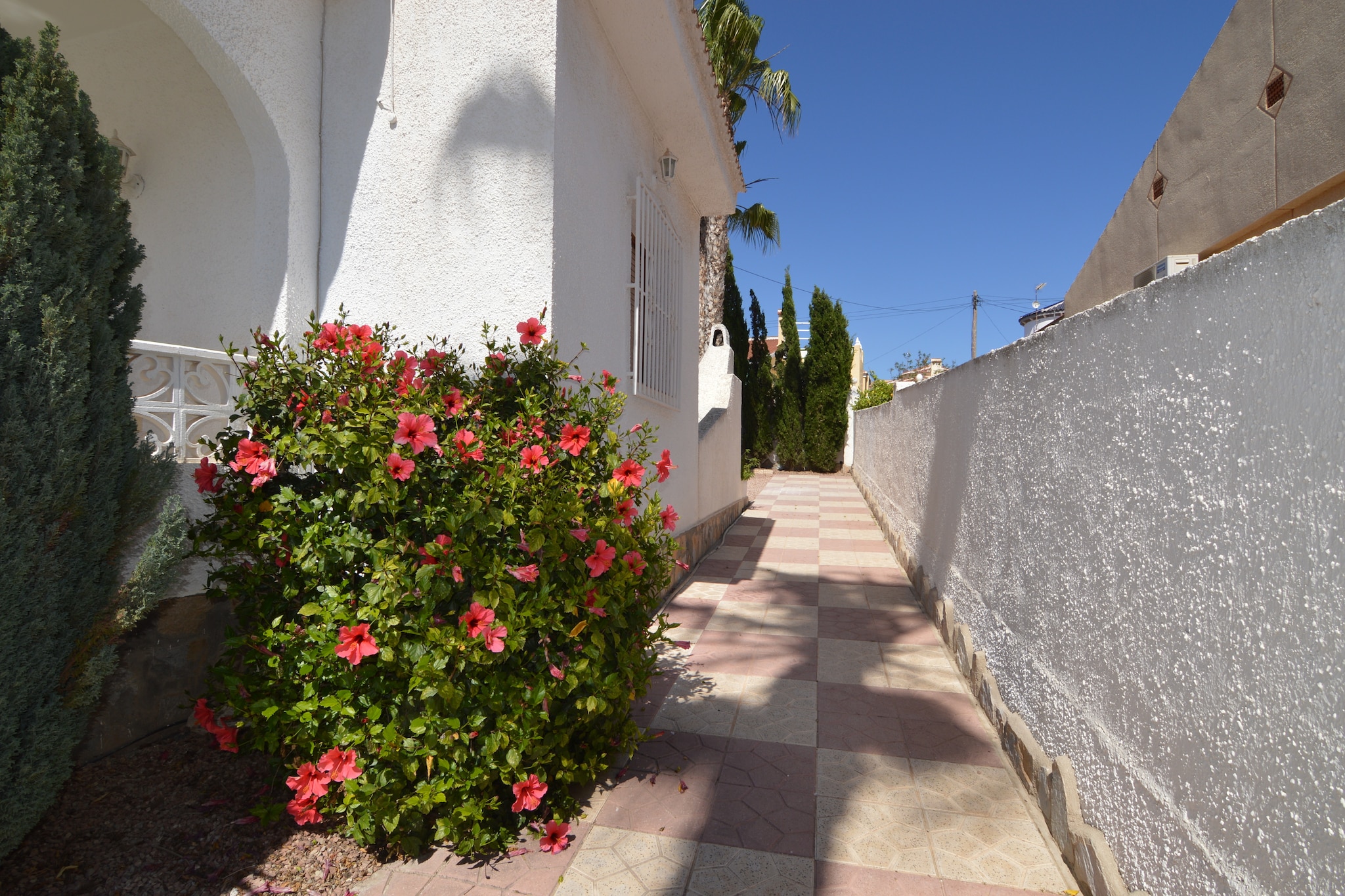 Casa Fien-Gardens summer