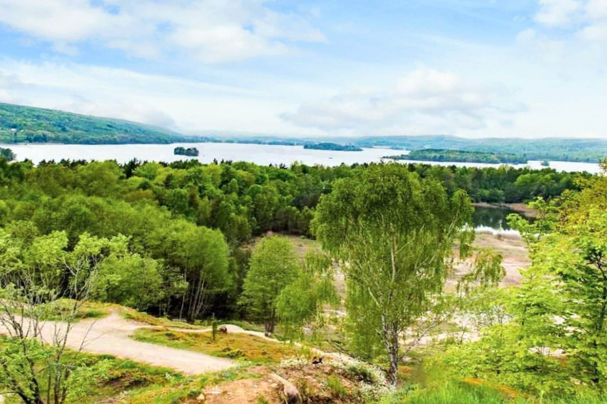 8 Personen vakantie huis in FJÄLKINGE - Niet-getagd