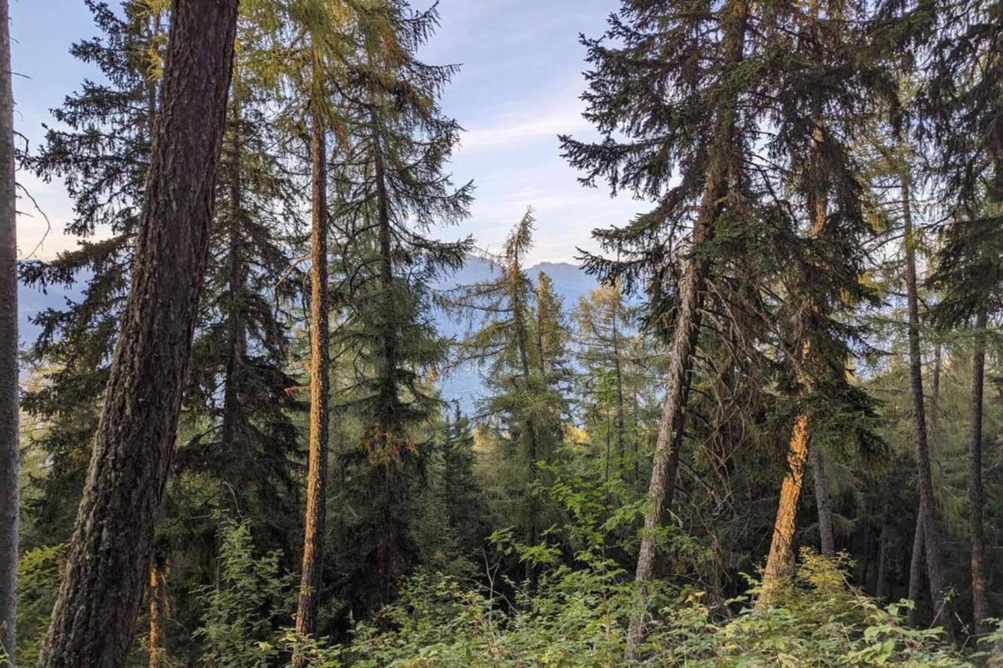 Chalet Le Chaînon-Gebieden zomer 5km