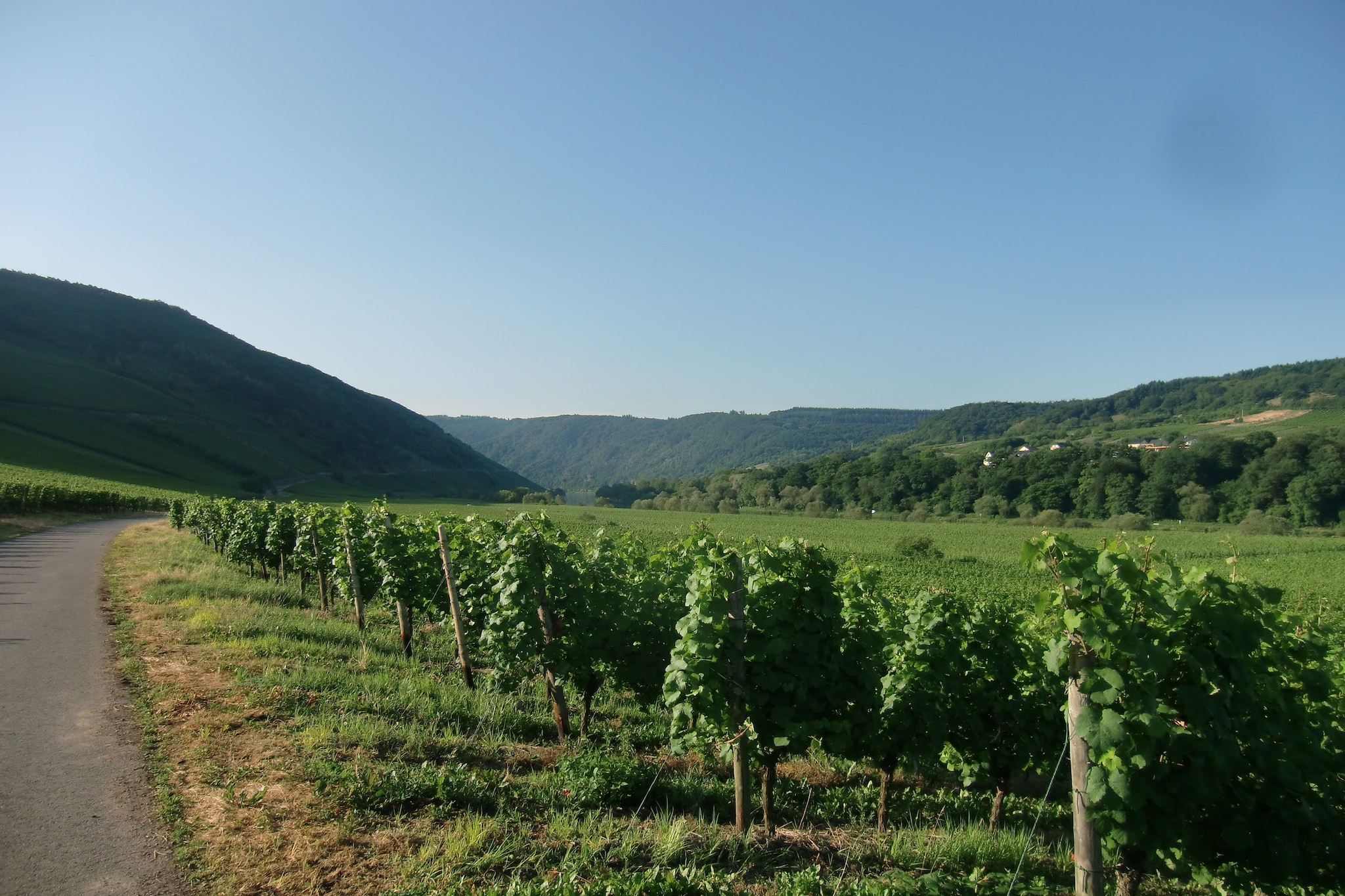 Ferien-Weingut Kirch-Gebieden zomer 20km