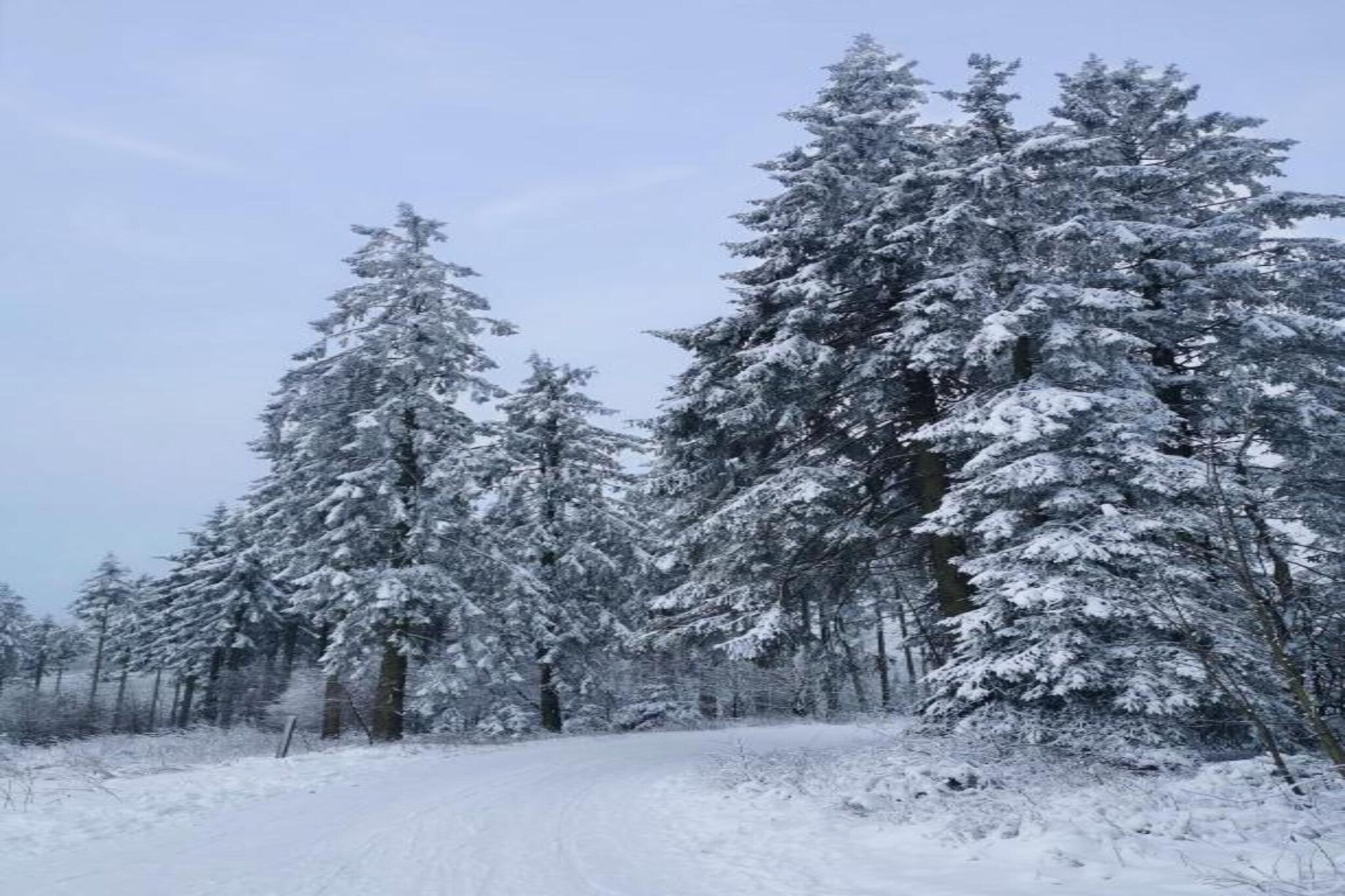 Diemelsee-Gebied winter 20km