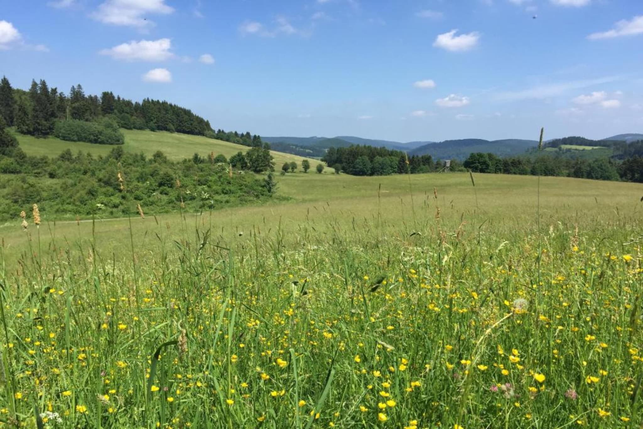 Diemelsee-Gebieden zomer 5km