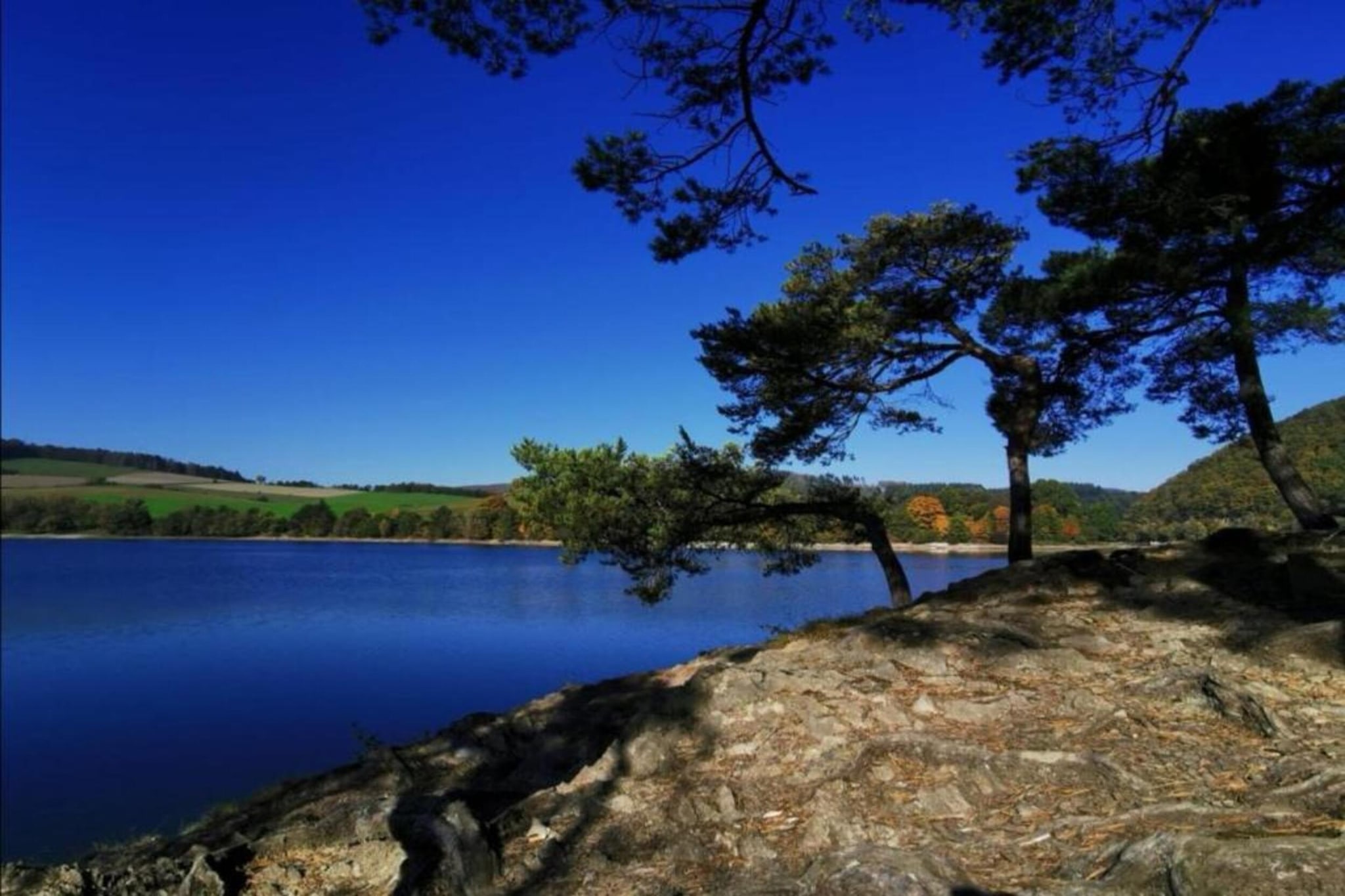 Diemelsee-Gebieden zomer 5km