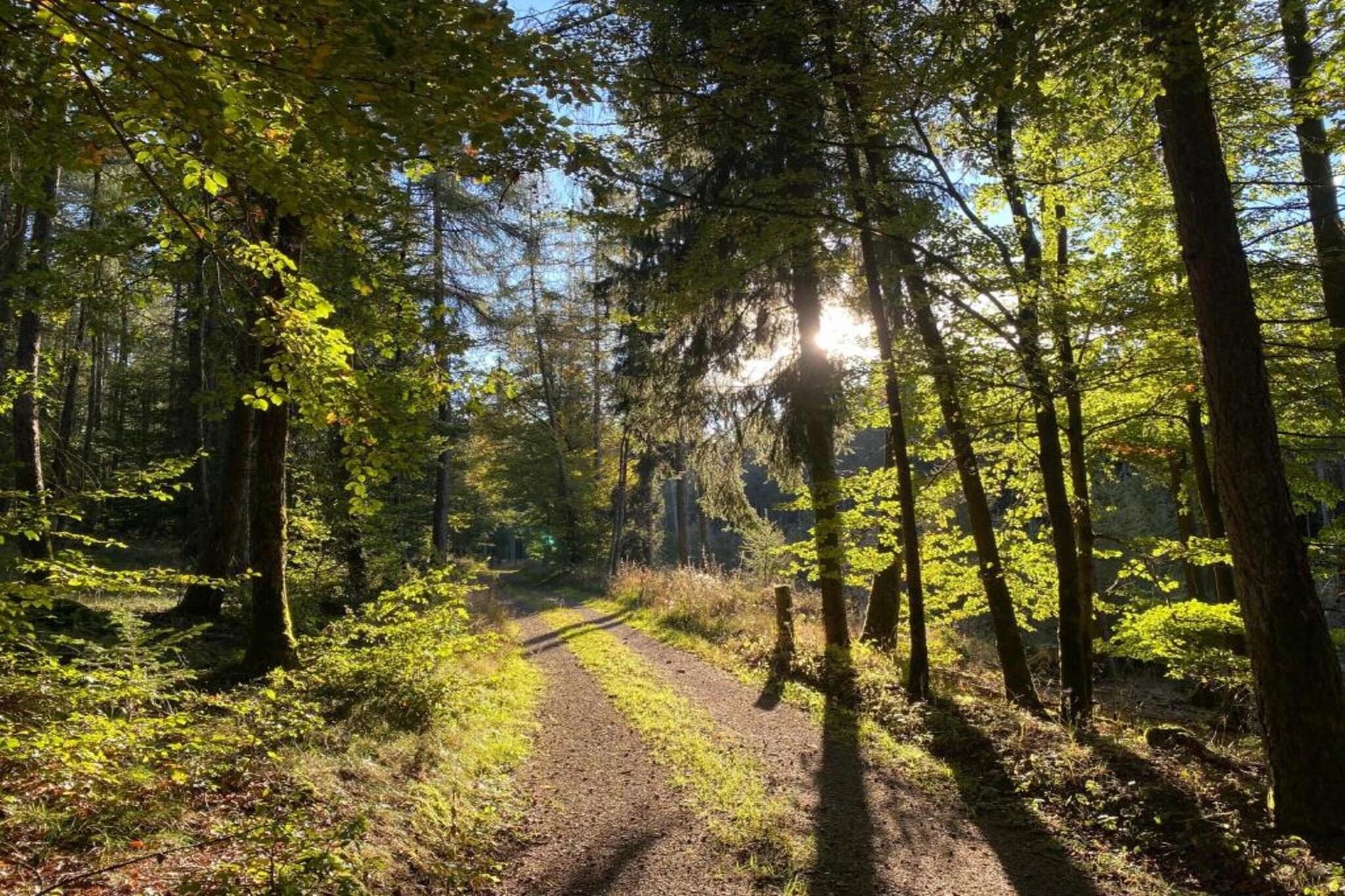 Diemelsee-Gebieden zomer 5km