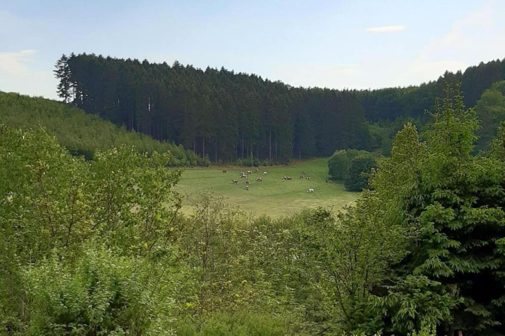 Area Summer20 K M