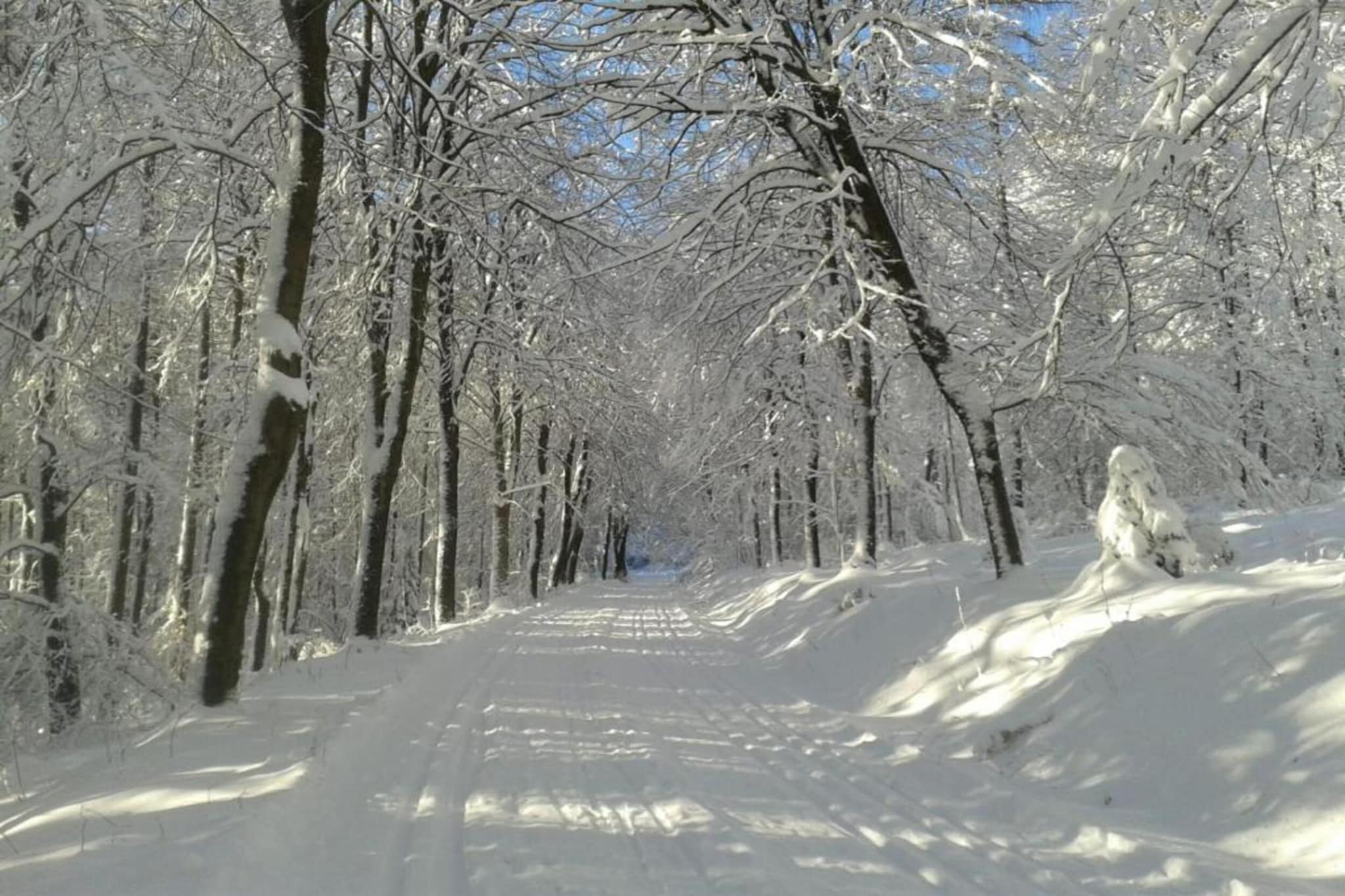 Area Winter20 K M
