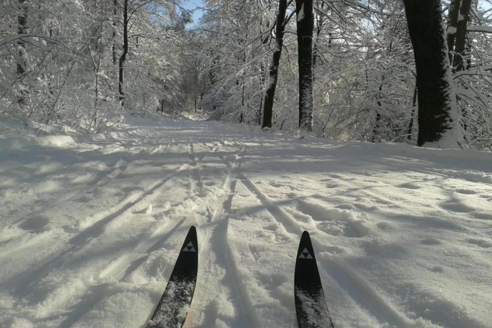 Area Winter20 K M