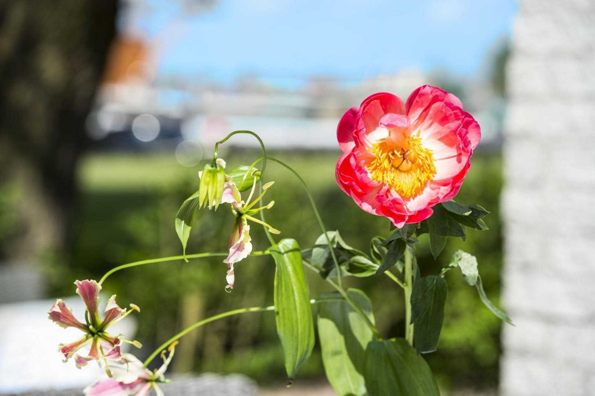 Bungalowpark Rien van den Broeke Village 1-Ambiance