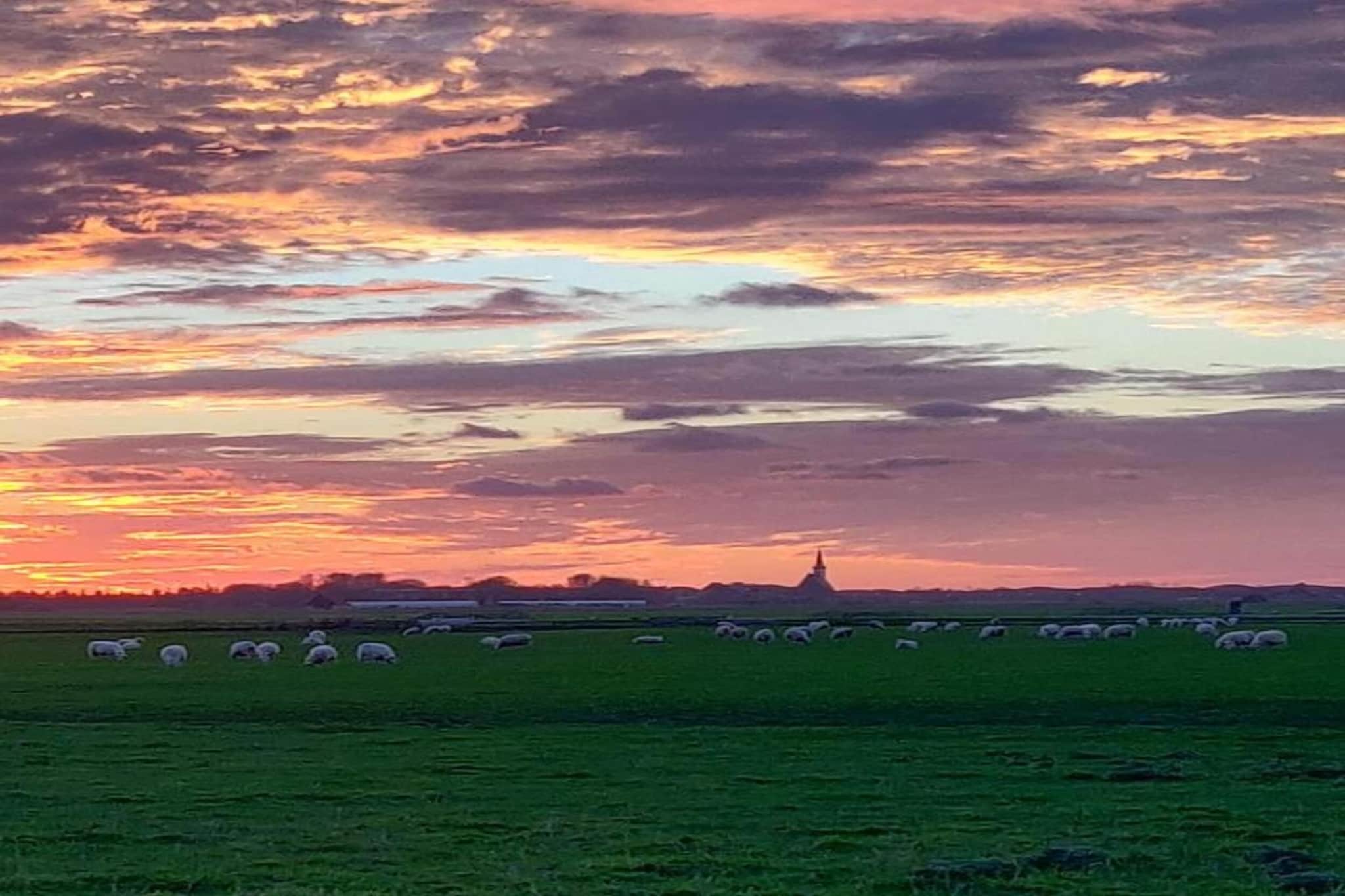 Kustpark Texel 2-Gebieden zomer 20km