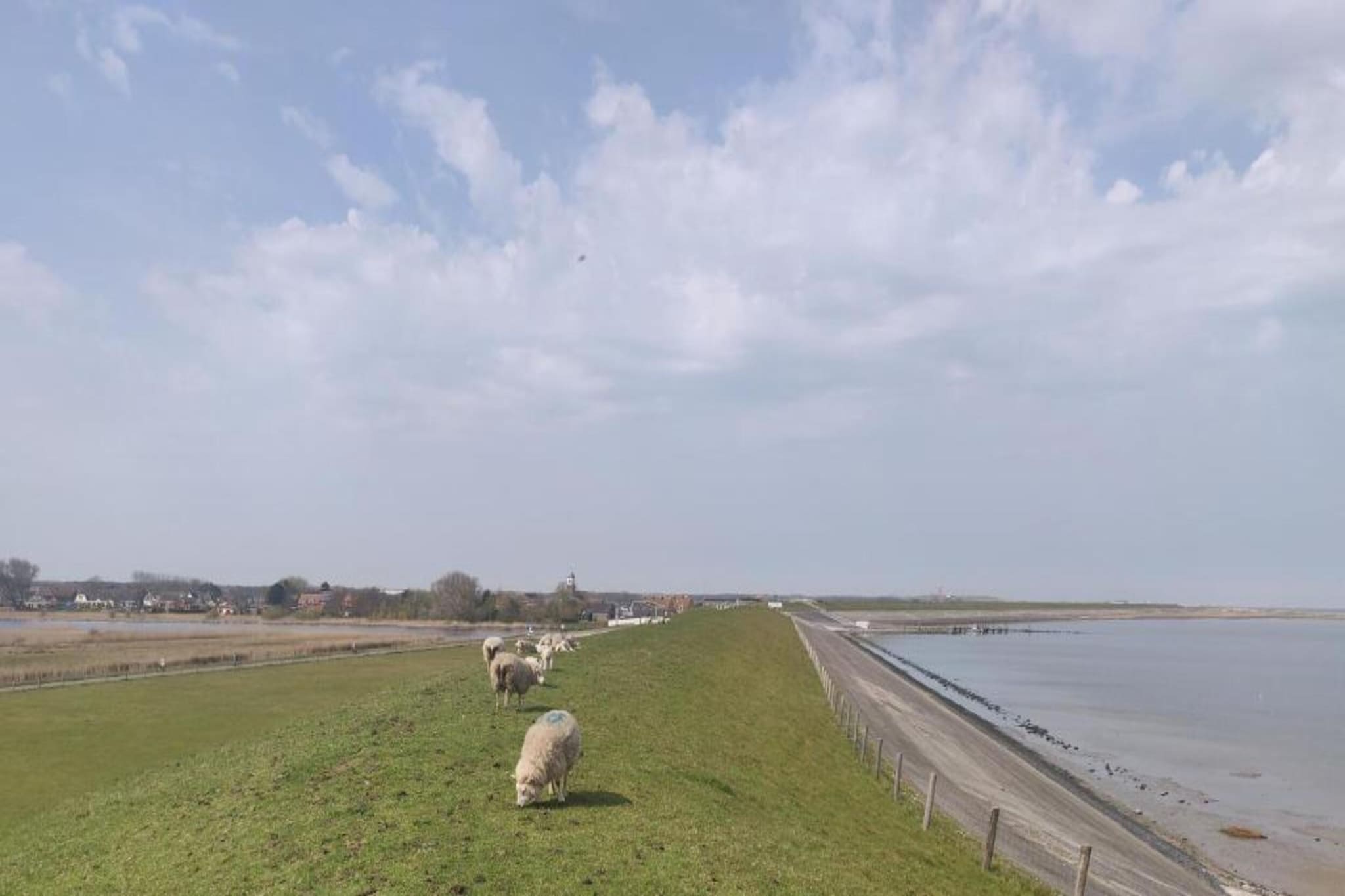 Kustpark Texel 2-Gebieden zomer 20km