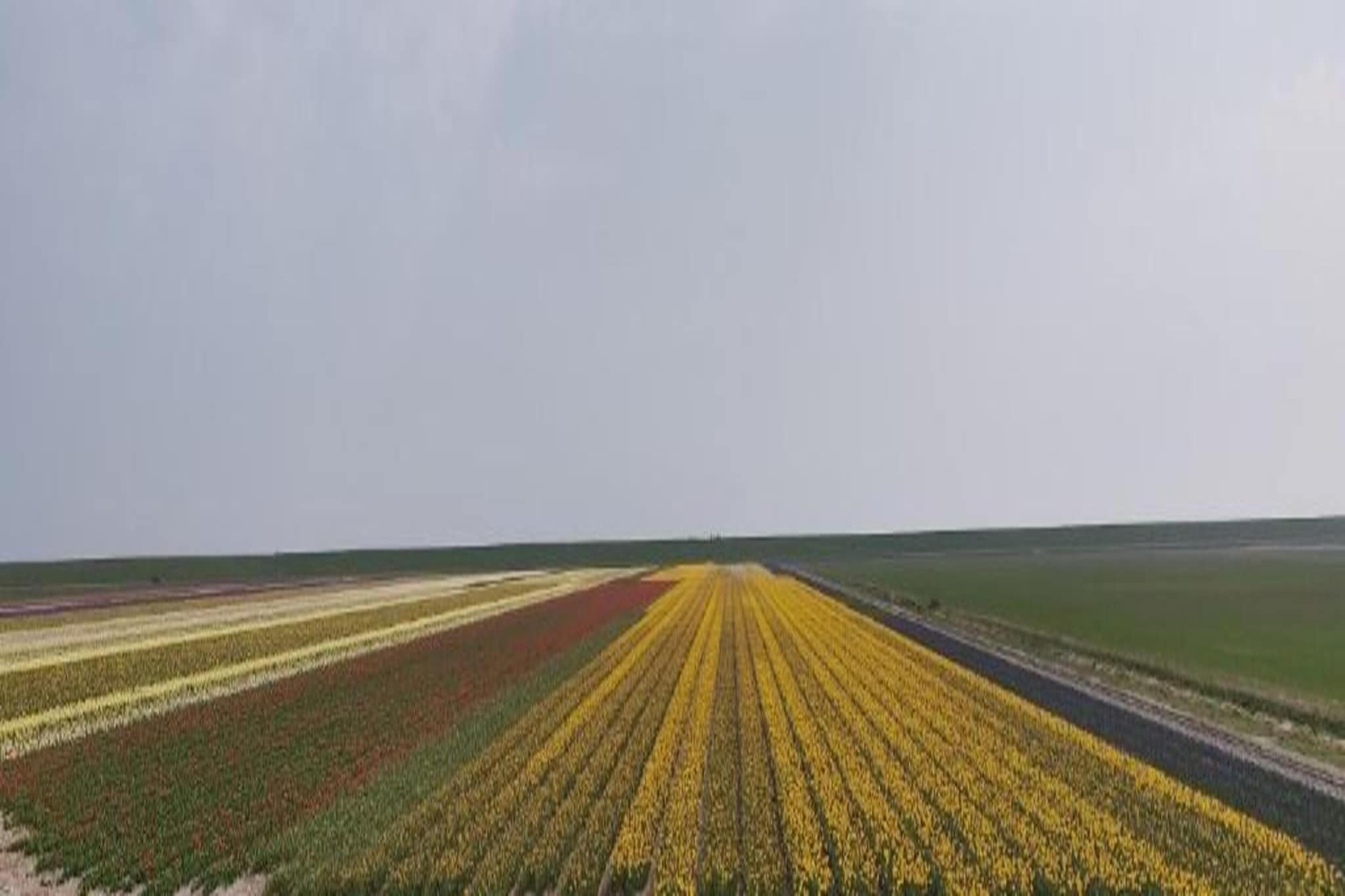 Kustpark Texel 2-Gebieden zomer 20km