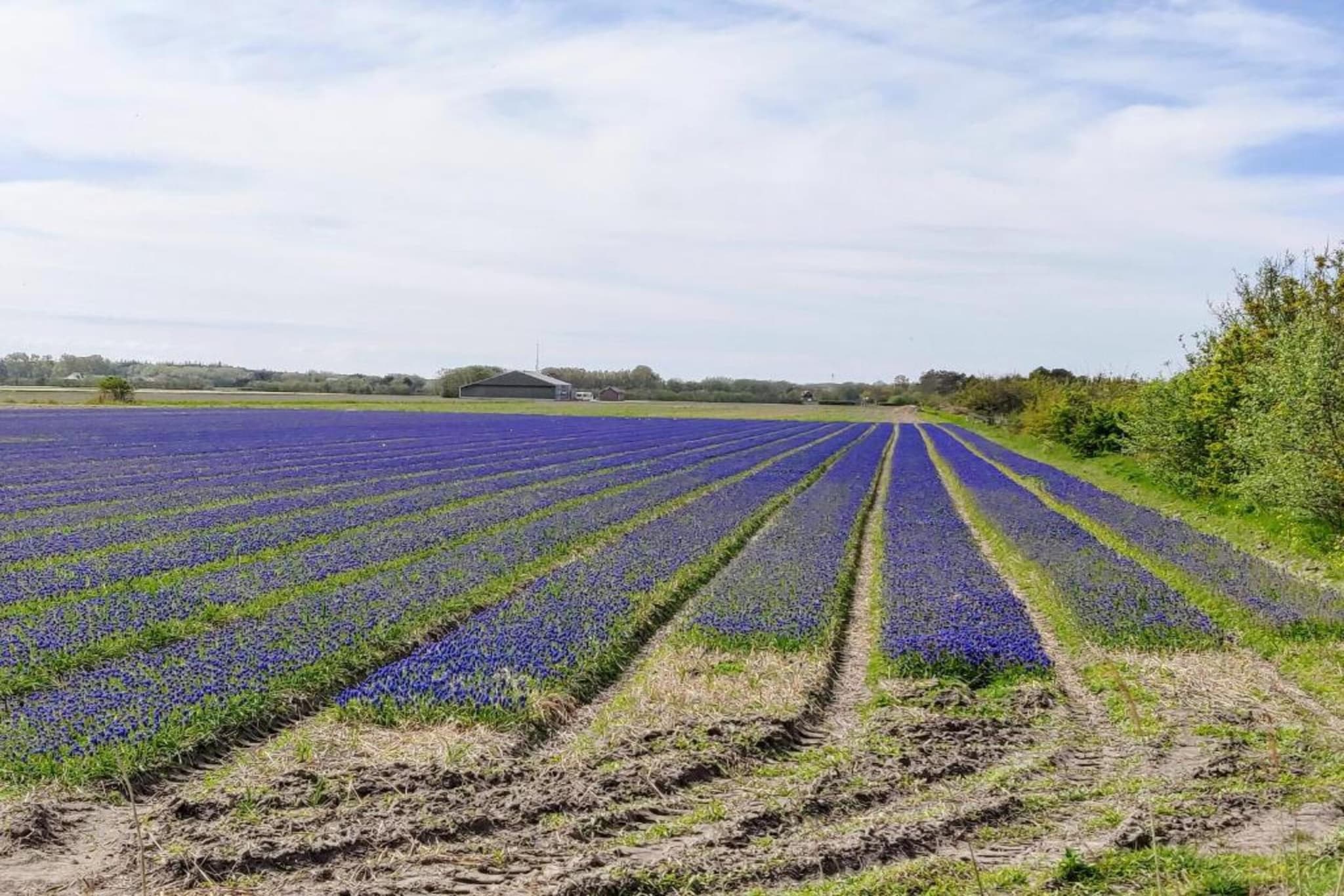 Kustpark Texel 2-Gebieden zomer 20km