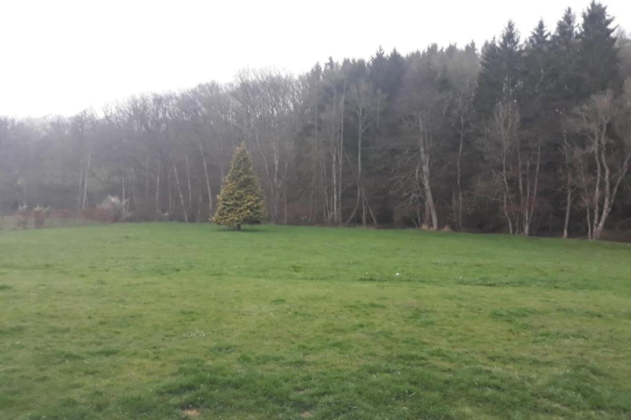 Le Chession-Areas summer 20km