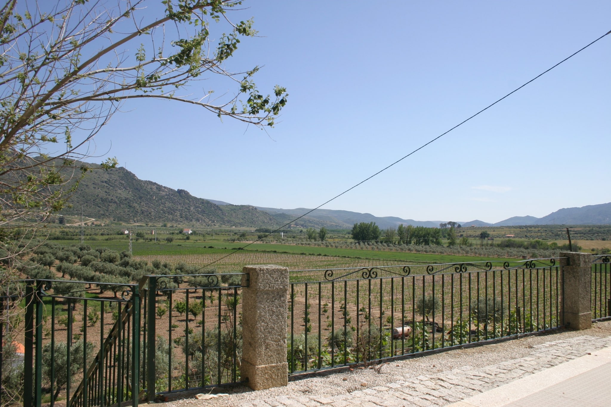 Casa do Vale-View summer