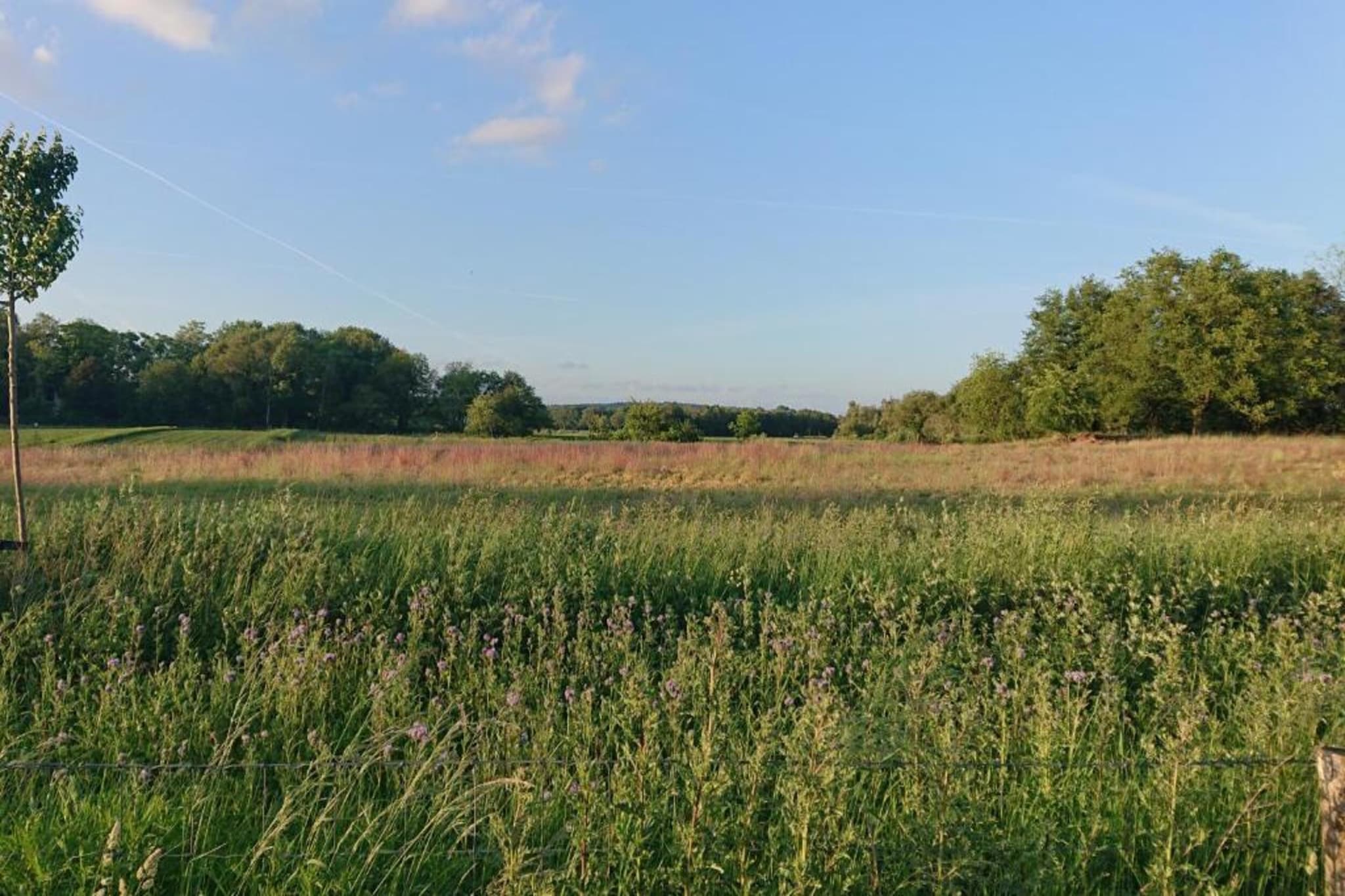 De Riethorst 2-Gebiete Sommer 20 km
