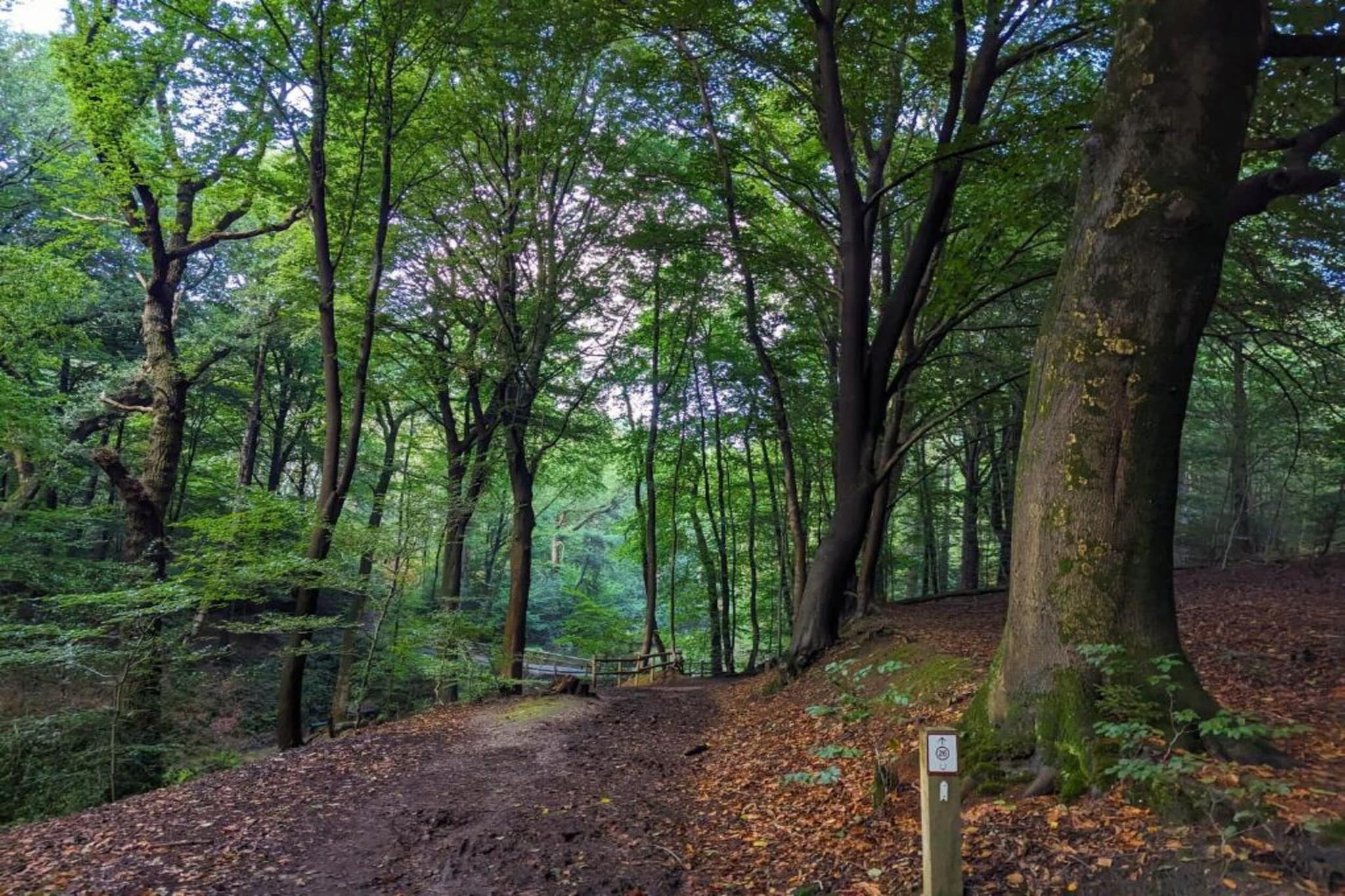 De Riethorst 2-Gebiete Sommer 20 km