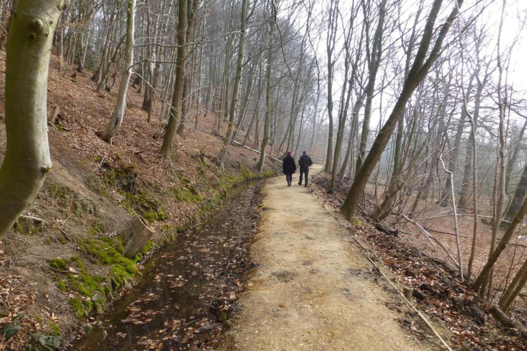 De Riethorst 2-Gebiete Sommer 20 km