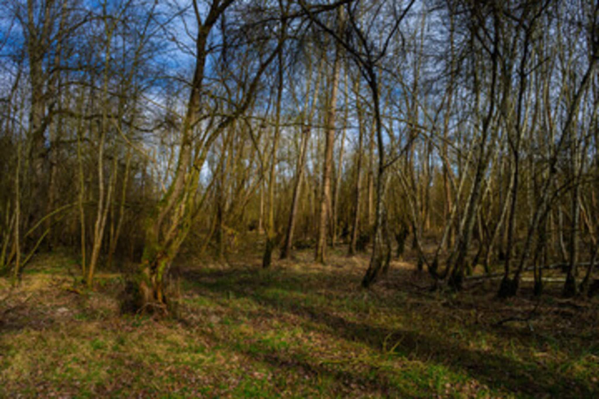 Domaine de Gavaudun - Gite La Chatière-Gebieden zomer 5km
