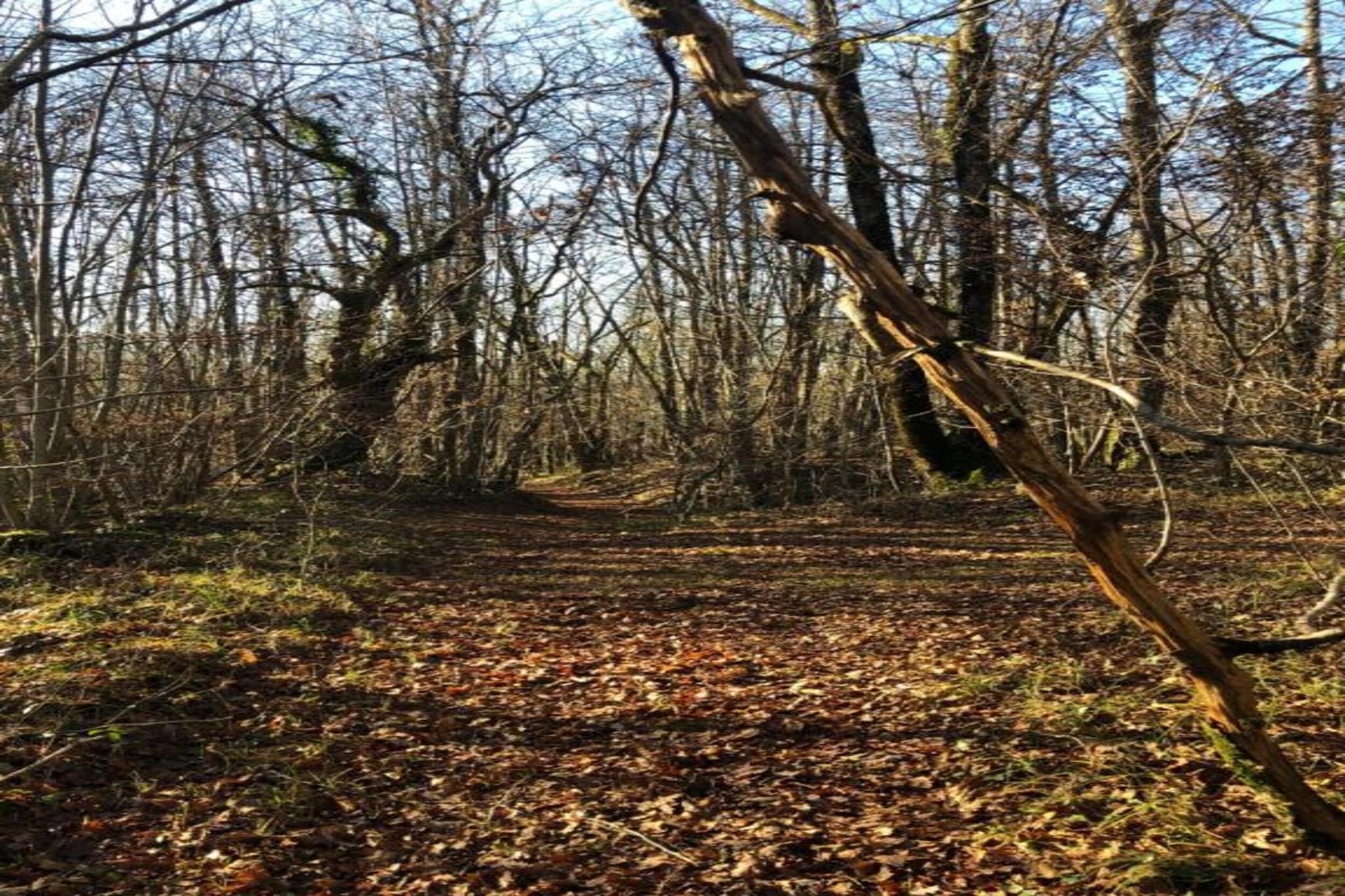 Domaine de Gavaudun - Gite La Chatière-Gebieden zomer 5km