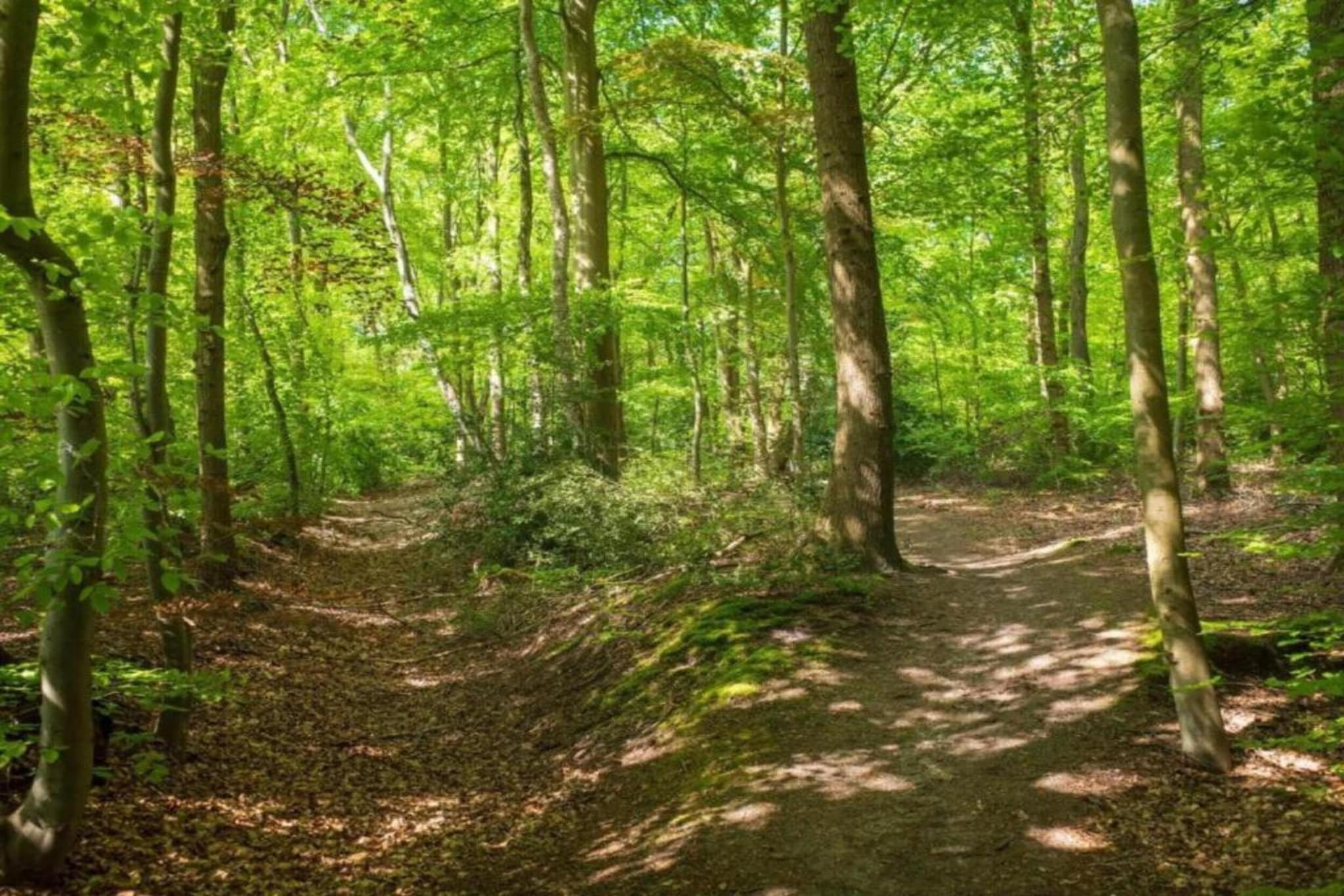 Domaine de Gavaudun - Maison Guyenne-Areas within 5km in summer