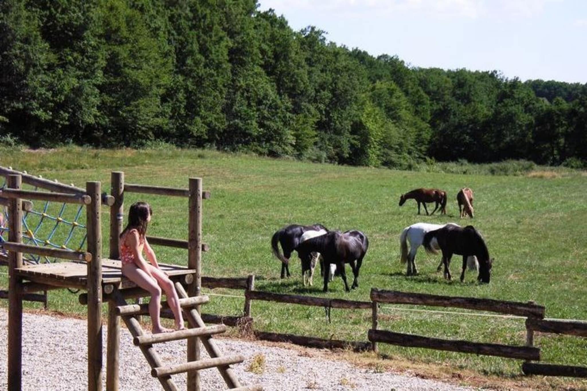 Domaine de Gavaudun - Villa Quercy-Areas within 1km in summer