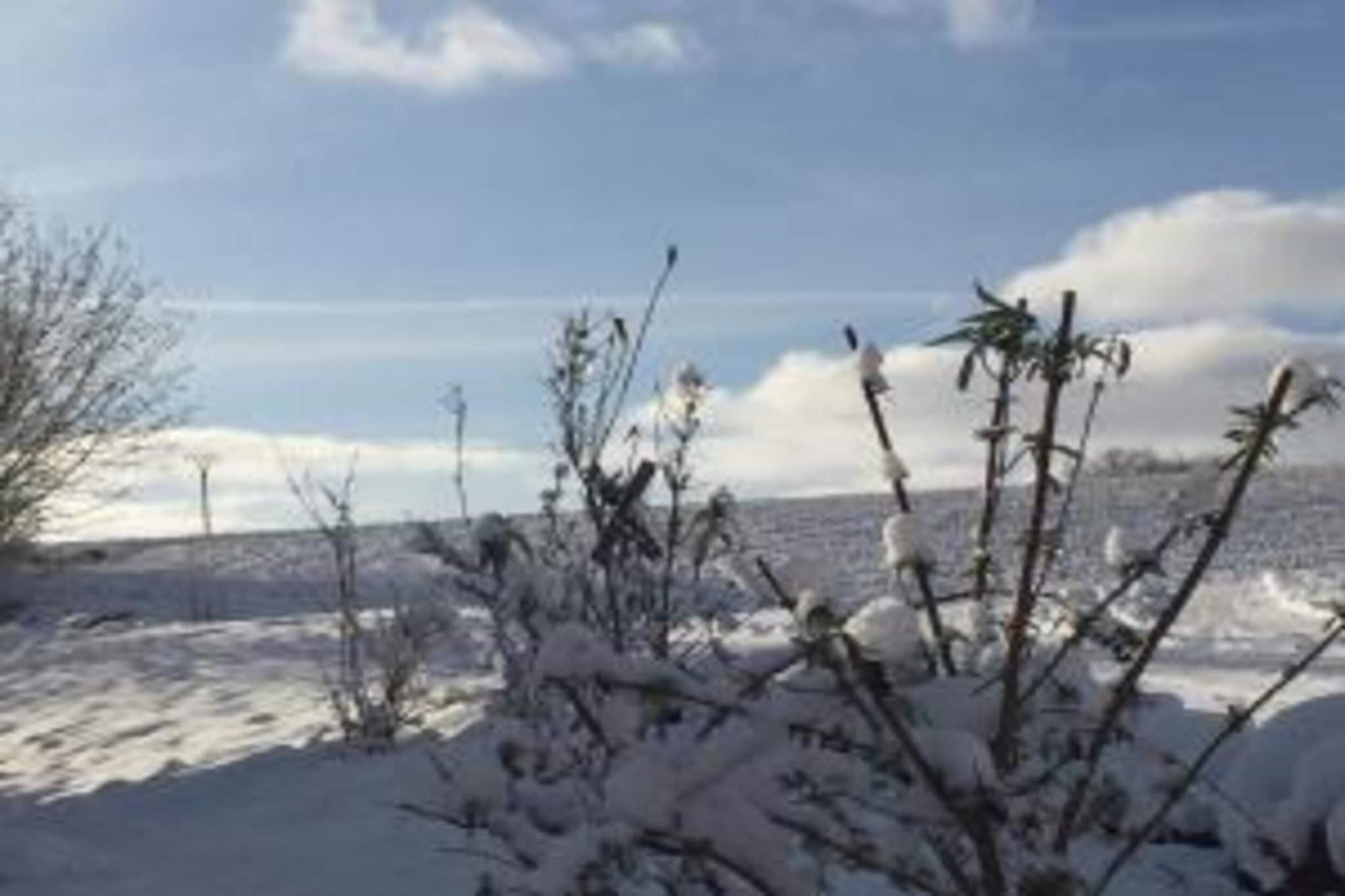 Mohr-Gebied winter 20km