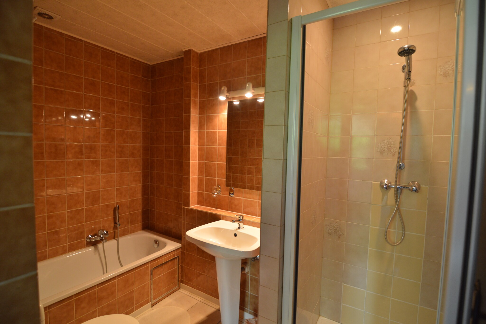 Vakantiehuis Spa max. 27 personen 2 huisdieren 10 slaapkamers zwembad #27