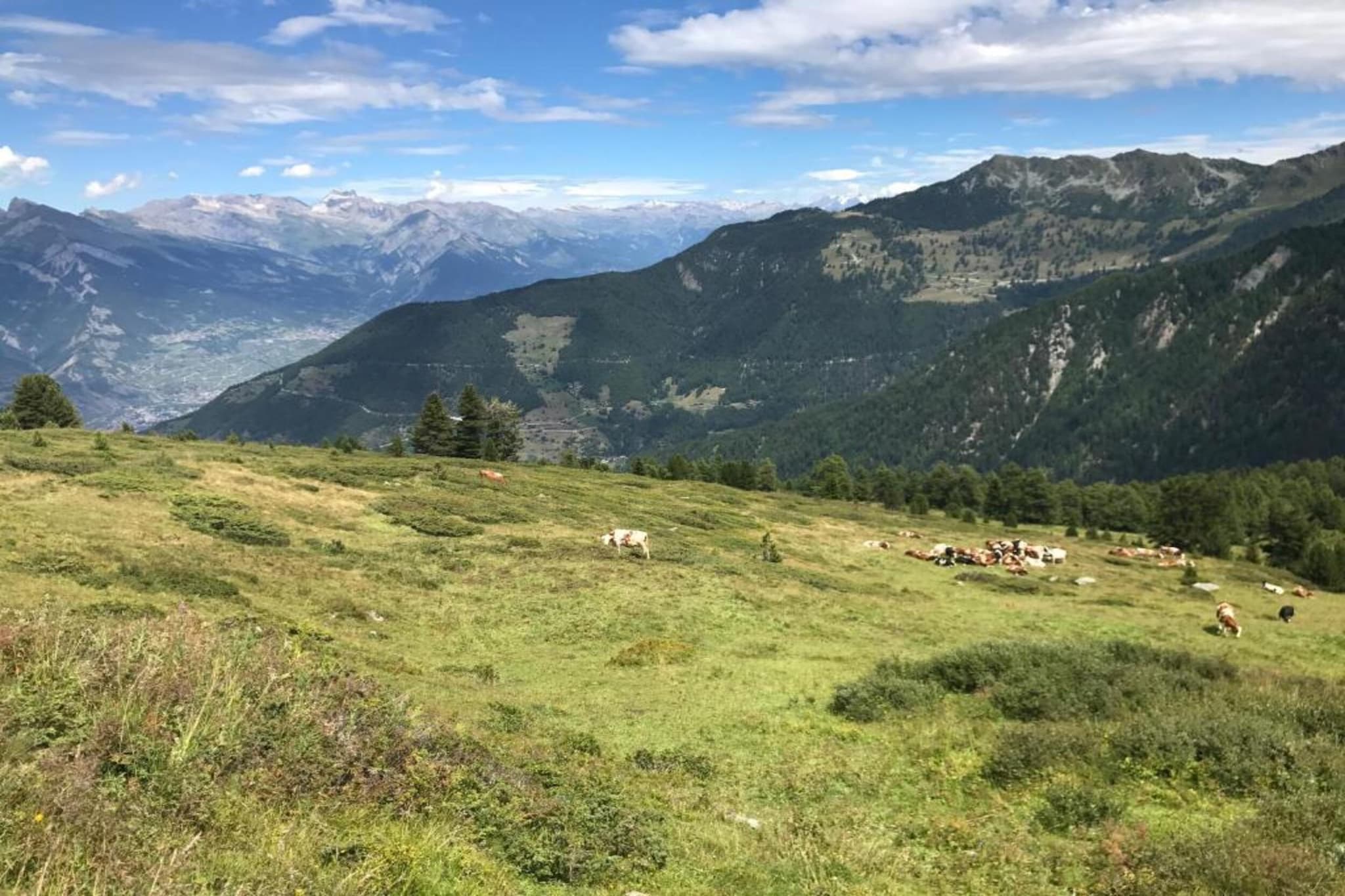Les Etoiles-Areas summer 20km