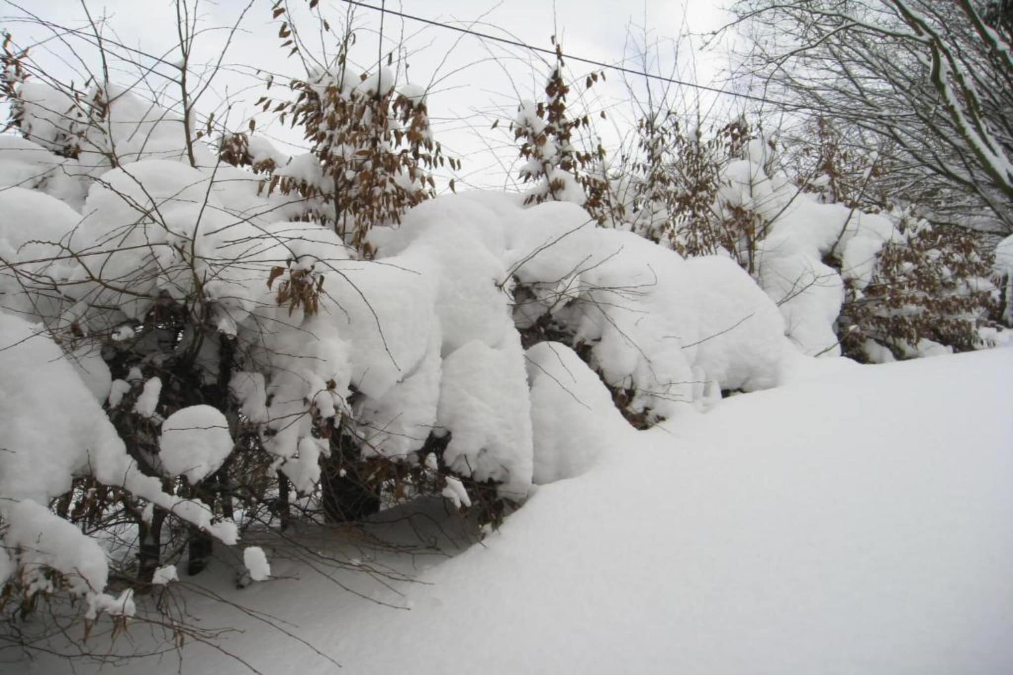 Haus Finger-Area winter 5km