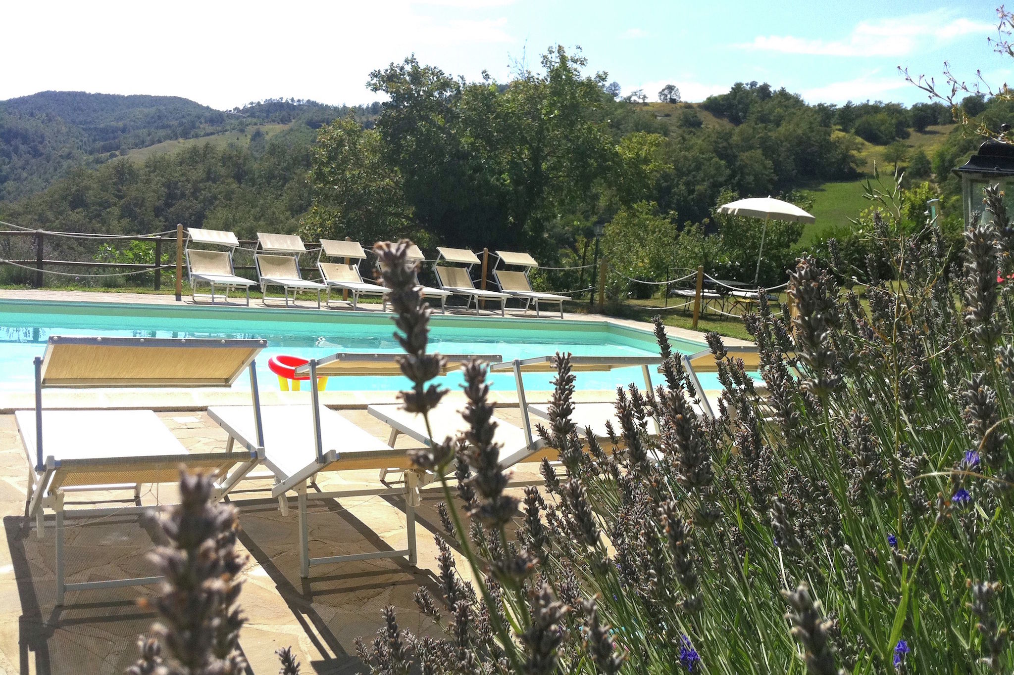 Ferme rustique douillette avec piscine et jardin