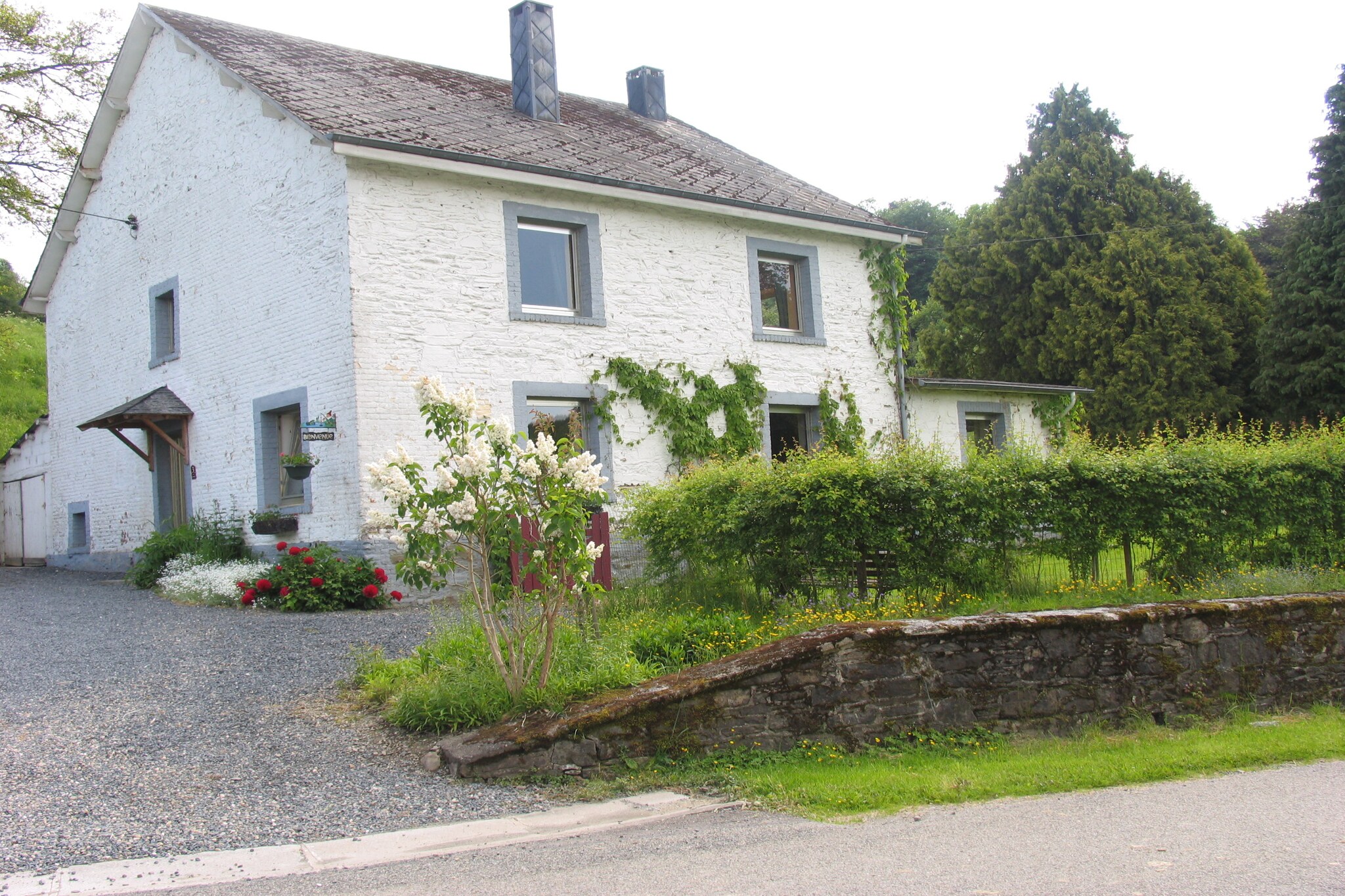 Vakantiehuis Tenneville max. 8 personen 3 huisdieren 4 slaapkamers #1
