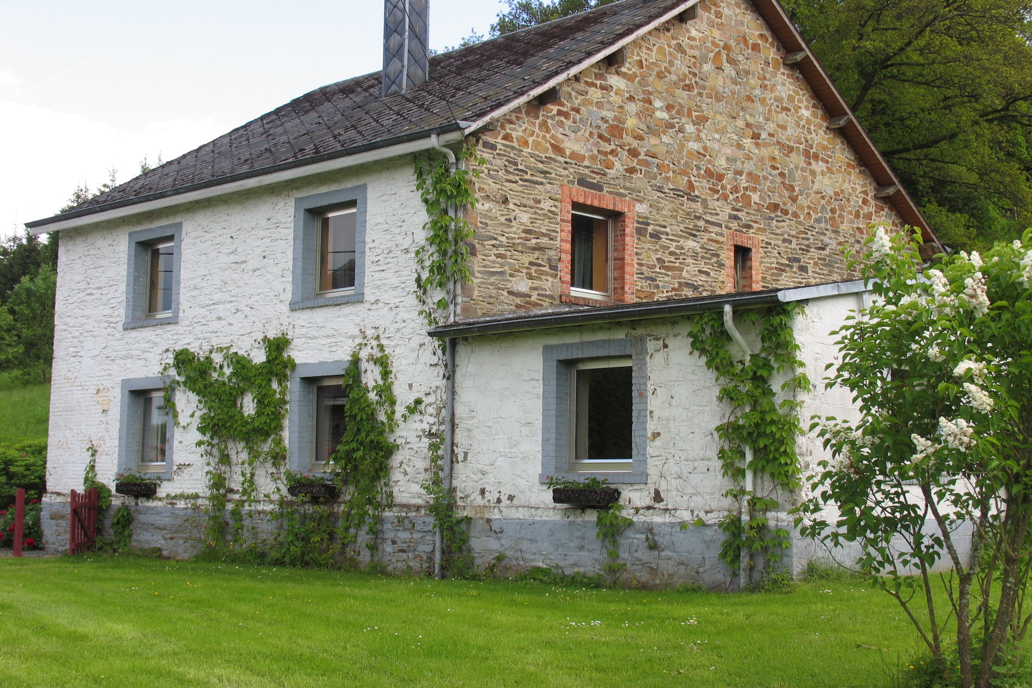 Vakantiehuis Tenneville max. 8 personen 3 huisdieren 4 slaapkamers #6