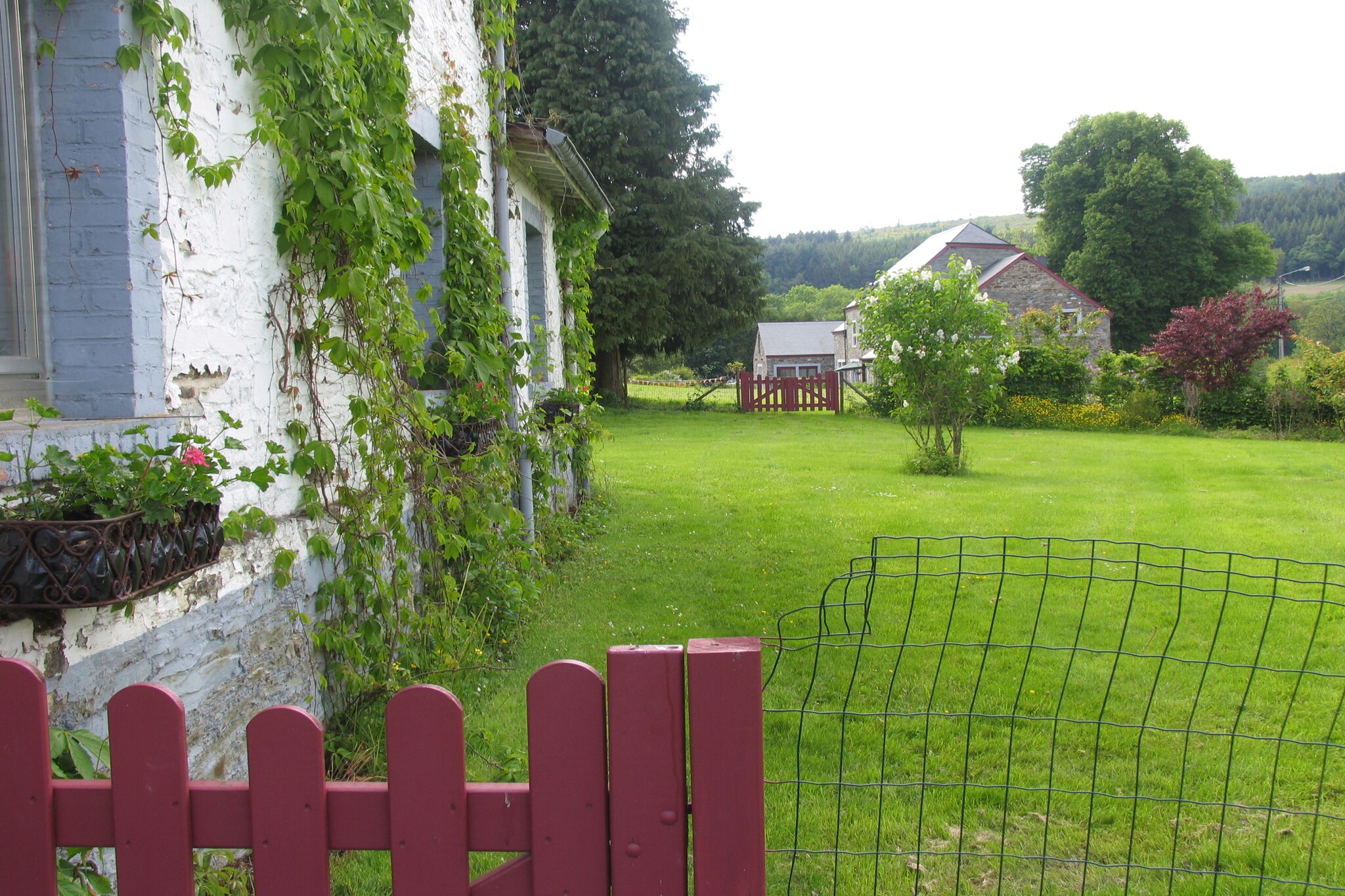 Vakantiehuis Tenneville max. 8 personen 3 huisdieren 4 slaapkamers #5