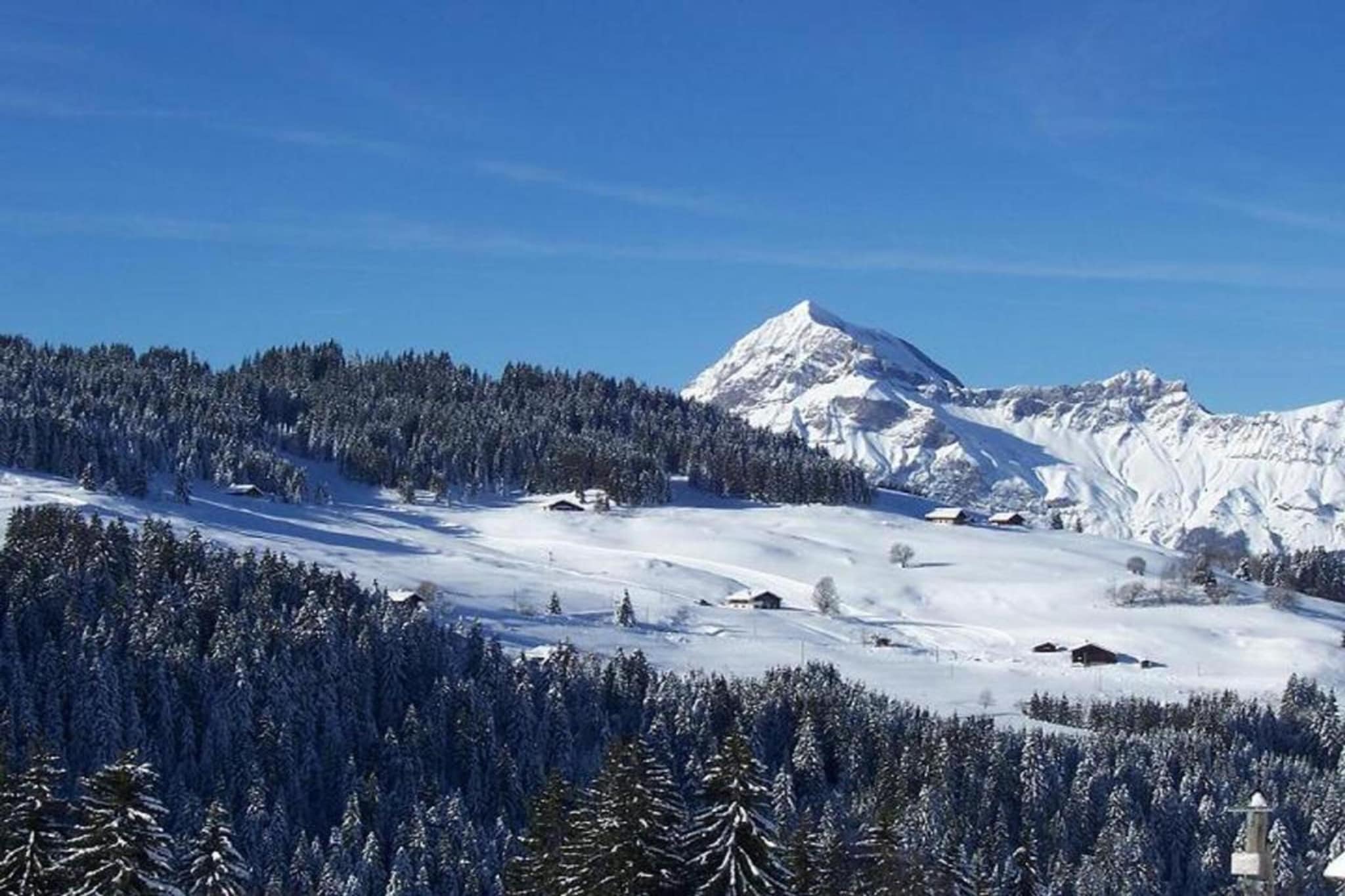 Résidence Le Village 2-Gebied winter 20km