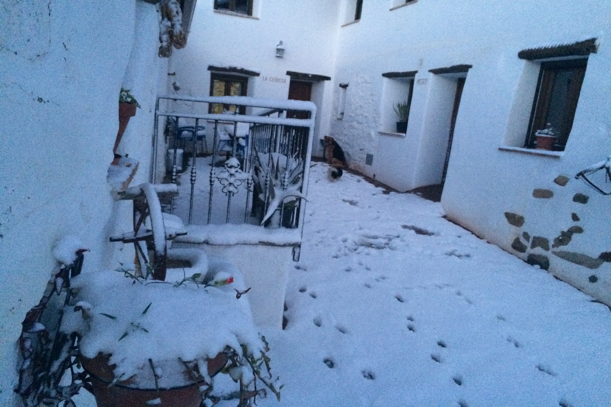 El Jaraiz - Tuin winter