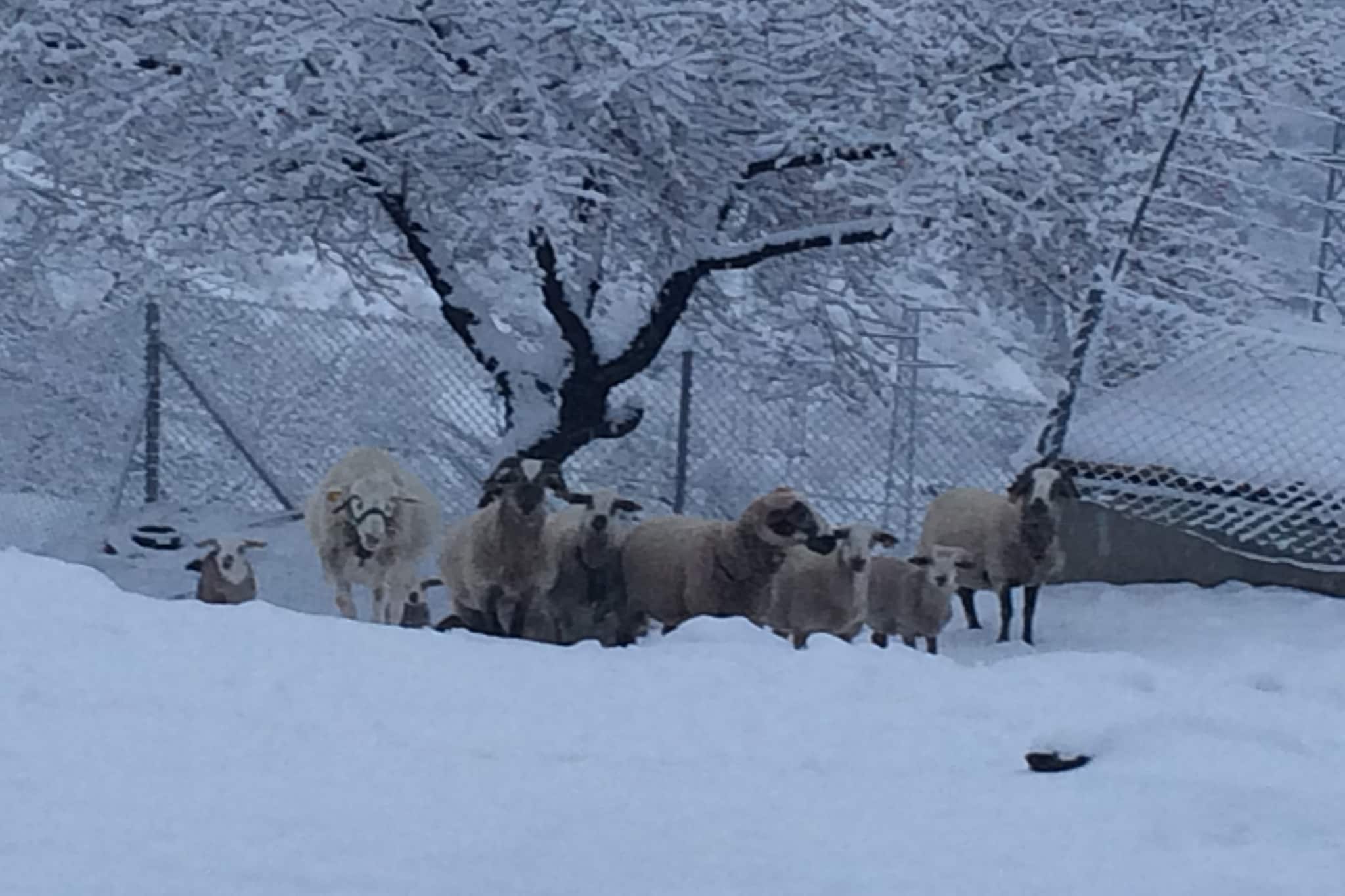 El Jaraiz - Gebied winter 5km