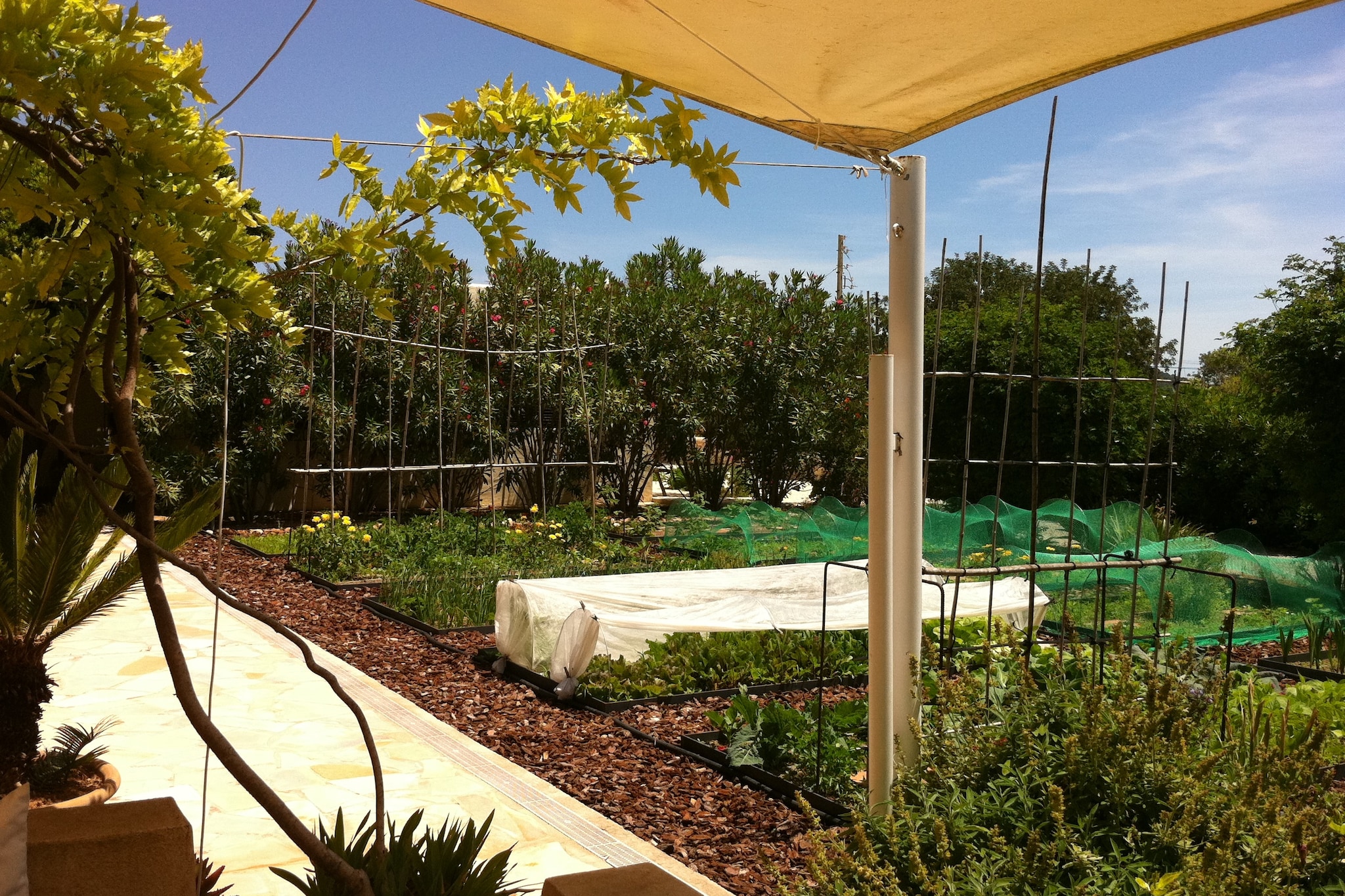 La Vila - Garten Sommer