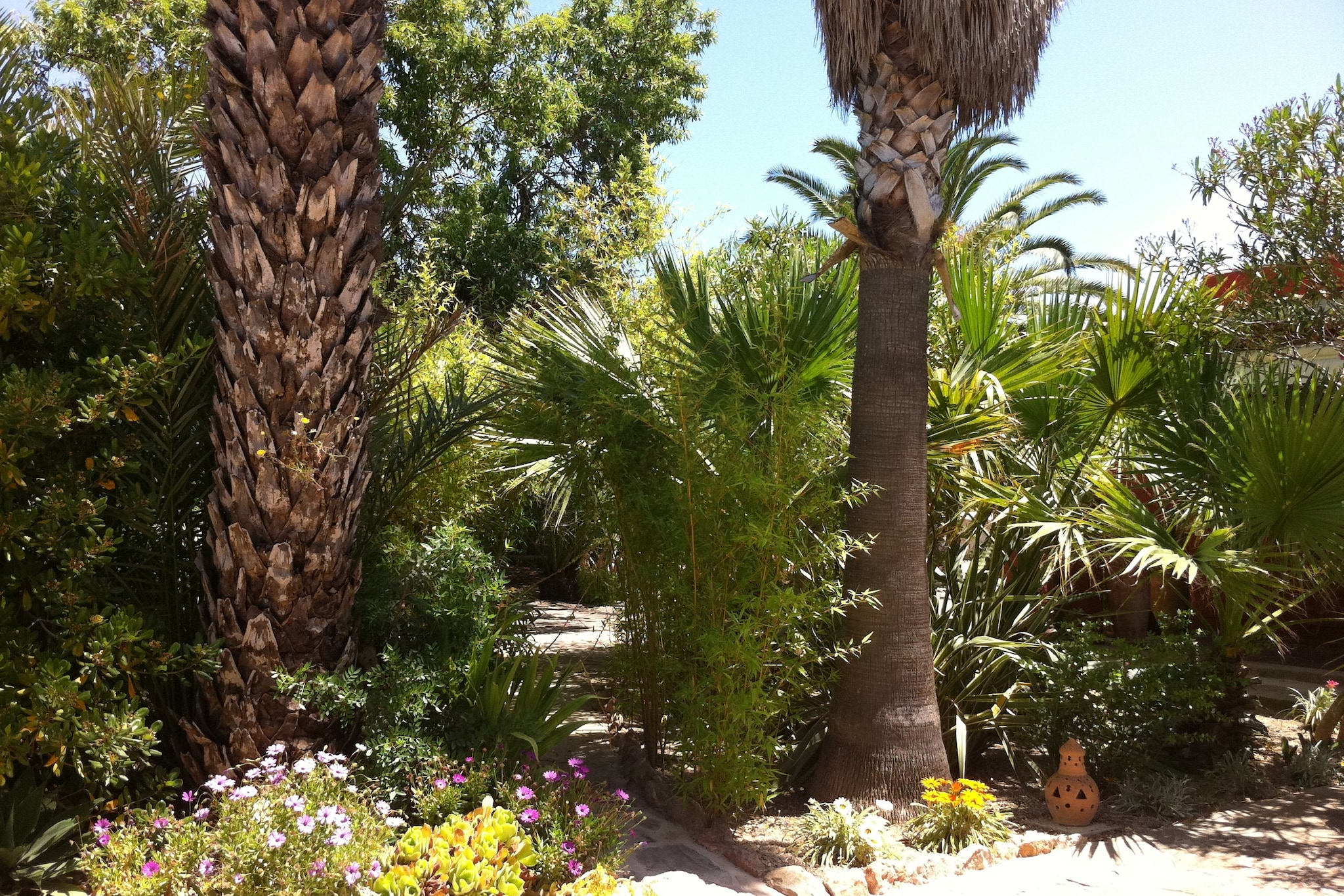 La Vila - Garten Sommer