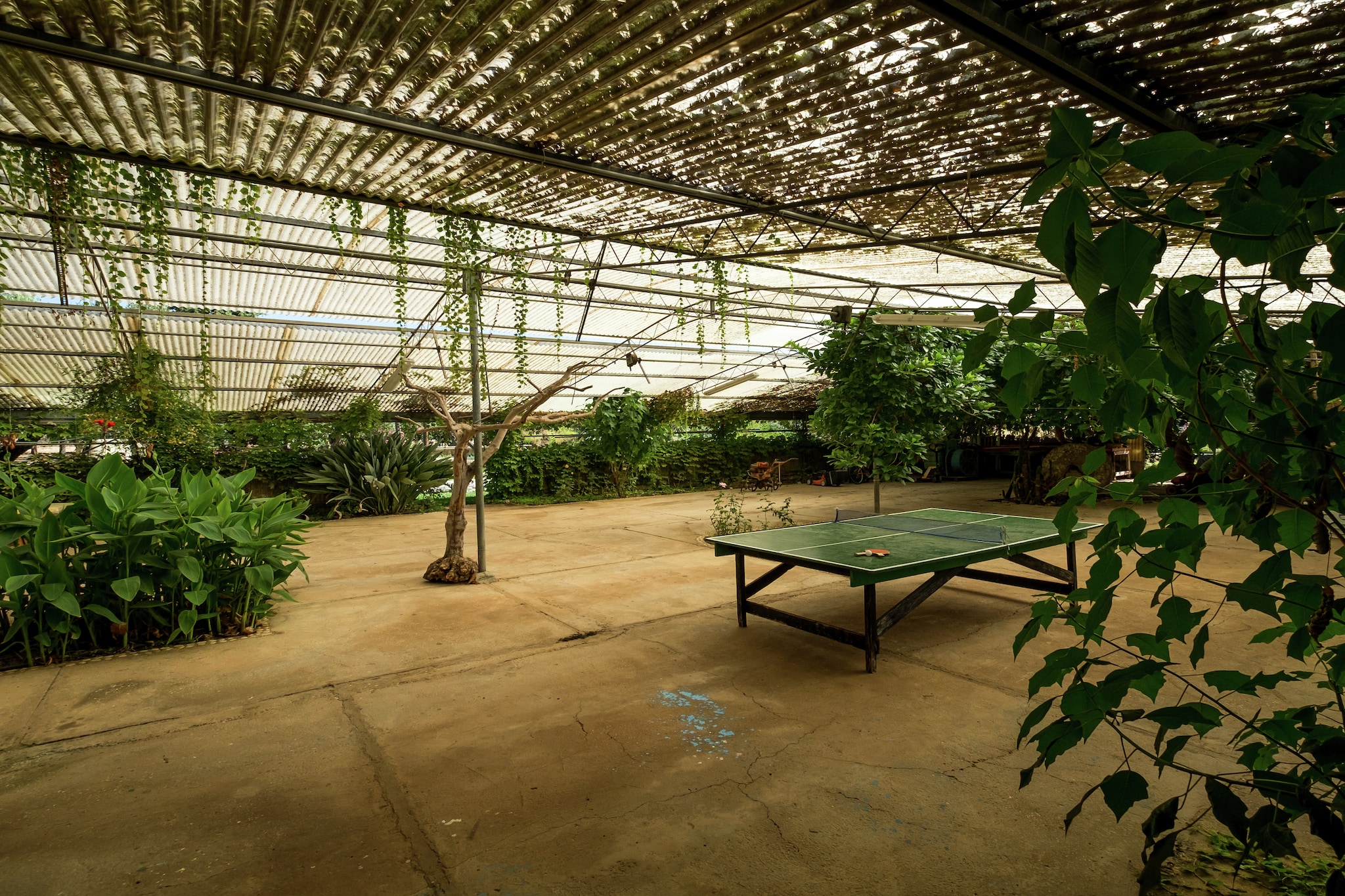 Facilities