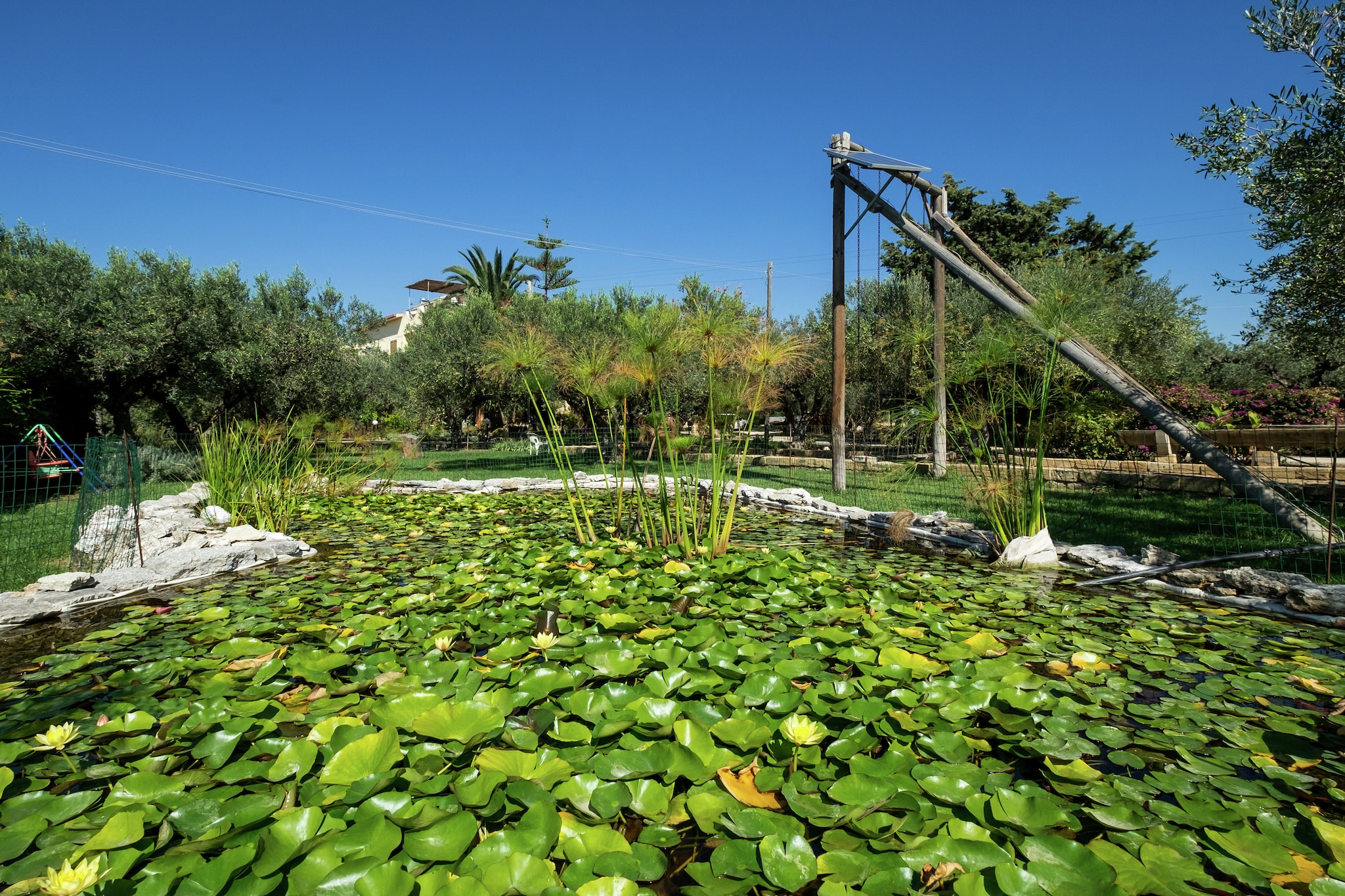 Garden Summer