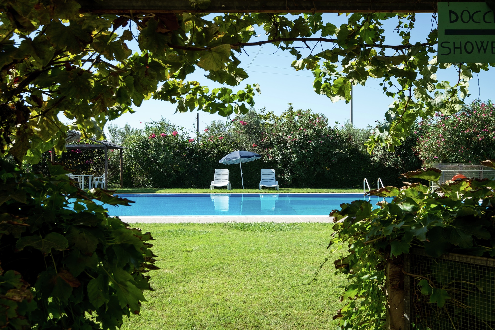 Pool Of House