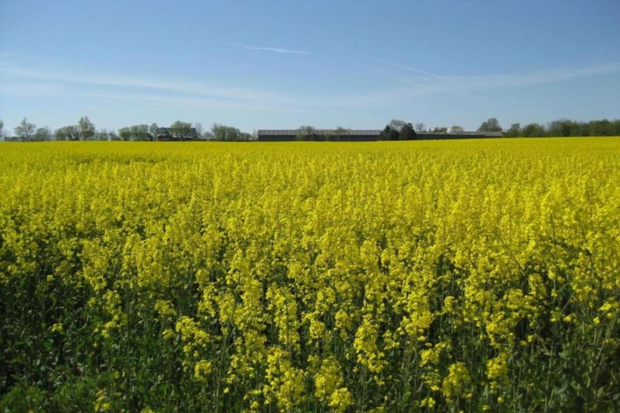Fichtenhof-Zones d'été à 20 km