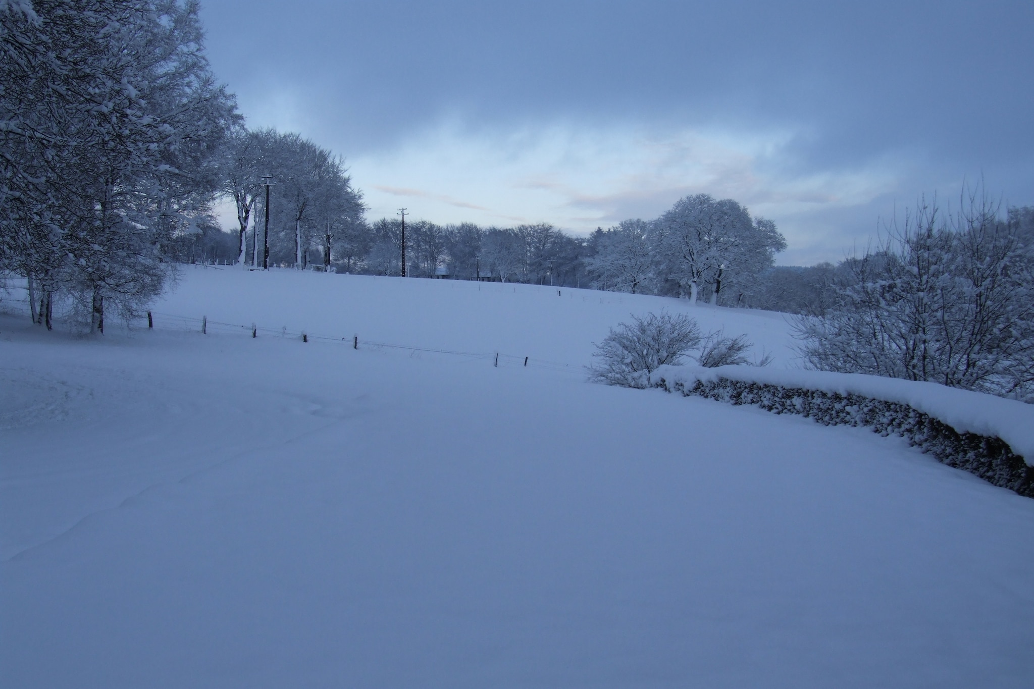 Koetshuis Loft-Tuin winter