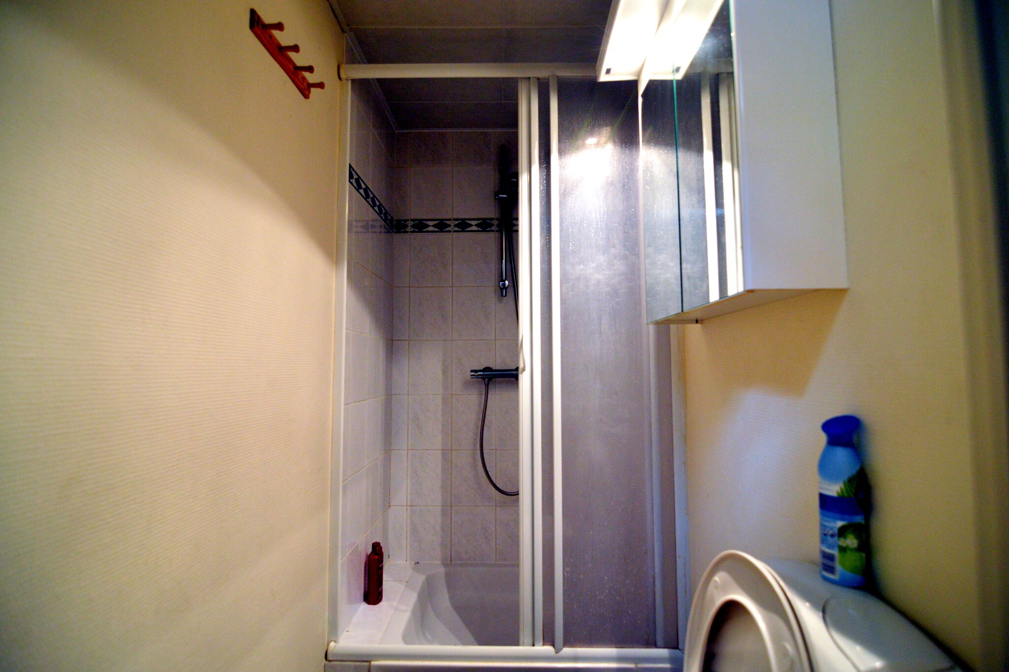Vakantiehuis Anseremme max. 12 personen 5 slaapkamers sauna #26