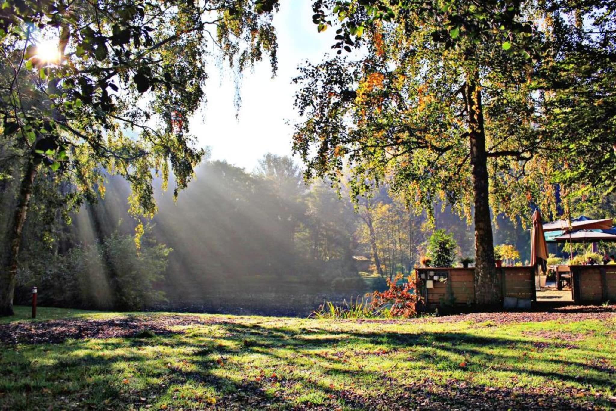 Hoeve in gunne winkel 2-Areas summer 20km